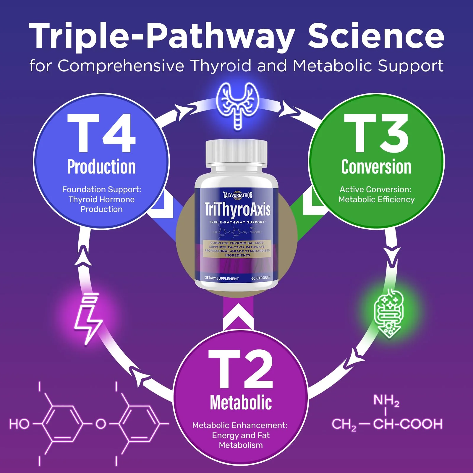 TriThyroAxis Thyroid Support Supplement by Talyvoriathor – Triple-Pathway Formula for Energy & Metabolism – 60 Capsules (2 Bottles) - Image 3