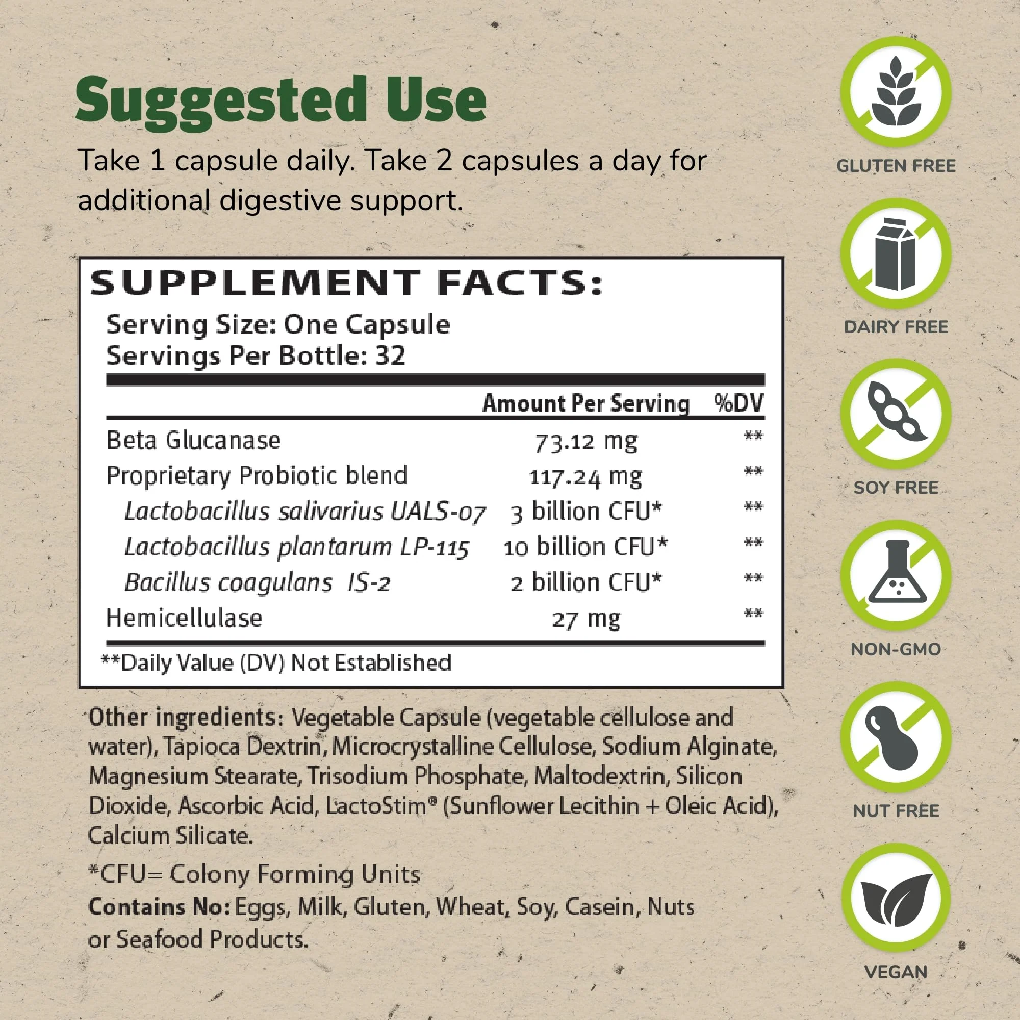TruFlora Master Supplements – Probiotic & Enzyme Blend for Gut Health & Energy (64 Servings, Gluten Free) - Image 2