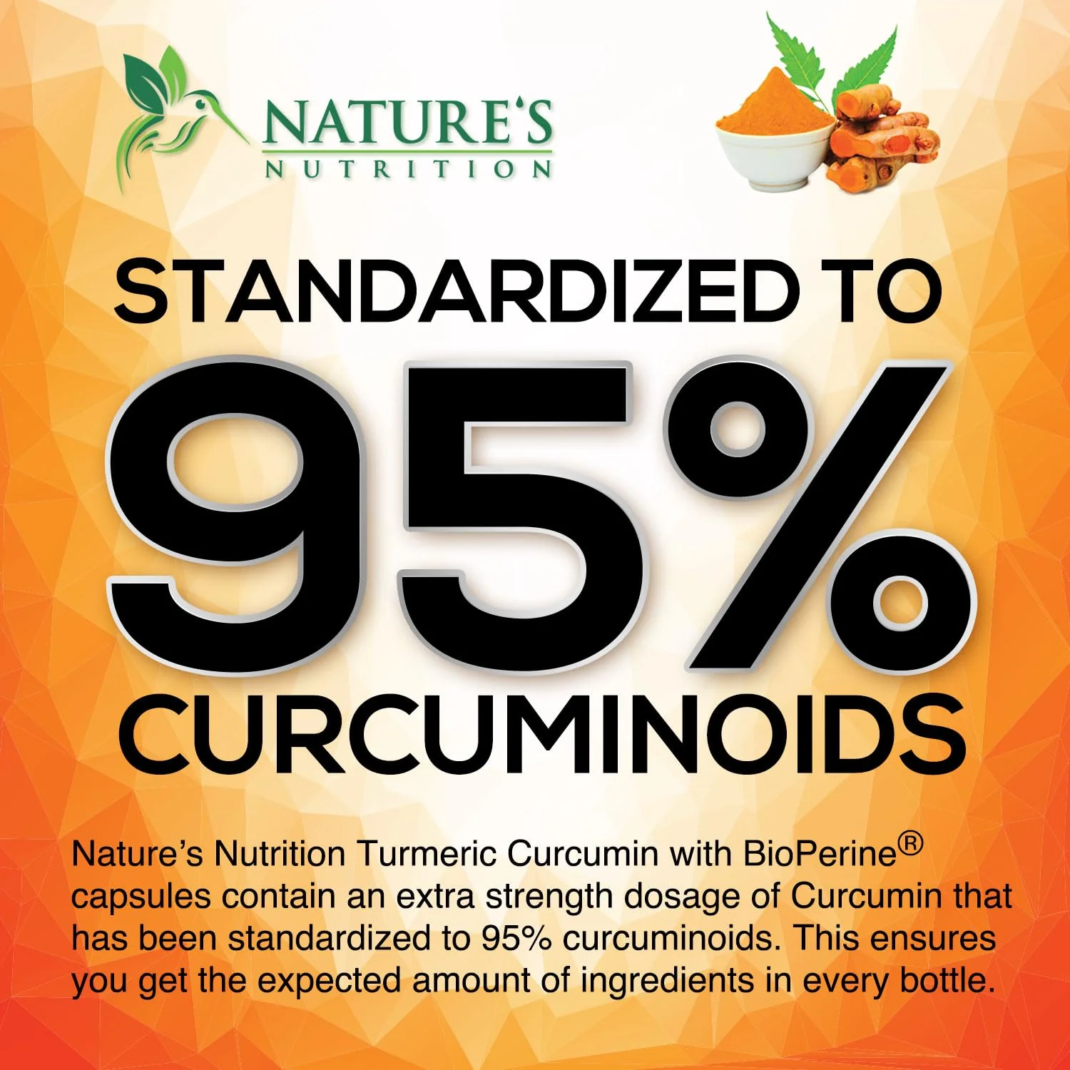 Turmeric Curcumin 1950mg – 95% Curcuminoids, Organic Turmeric & Ginger, BioPerine | 240 Capsules - Image 3
