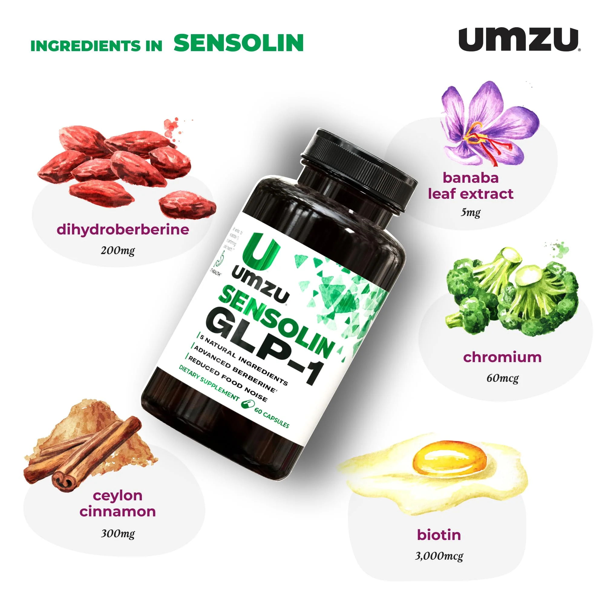 UMZU Sensolin GLP-1 Support Supplement – 30 Day Supply with Dihydroberberine, Cinnamon, Chromium & Biotin - Image 12