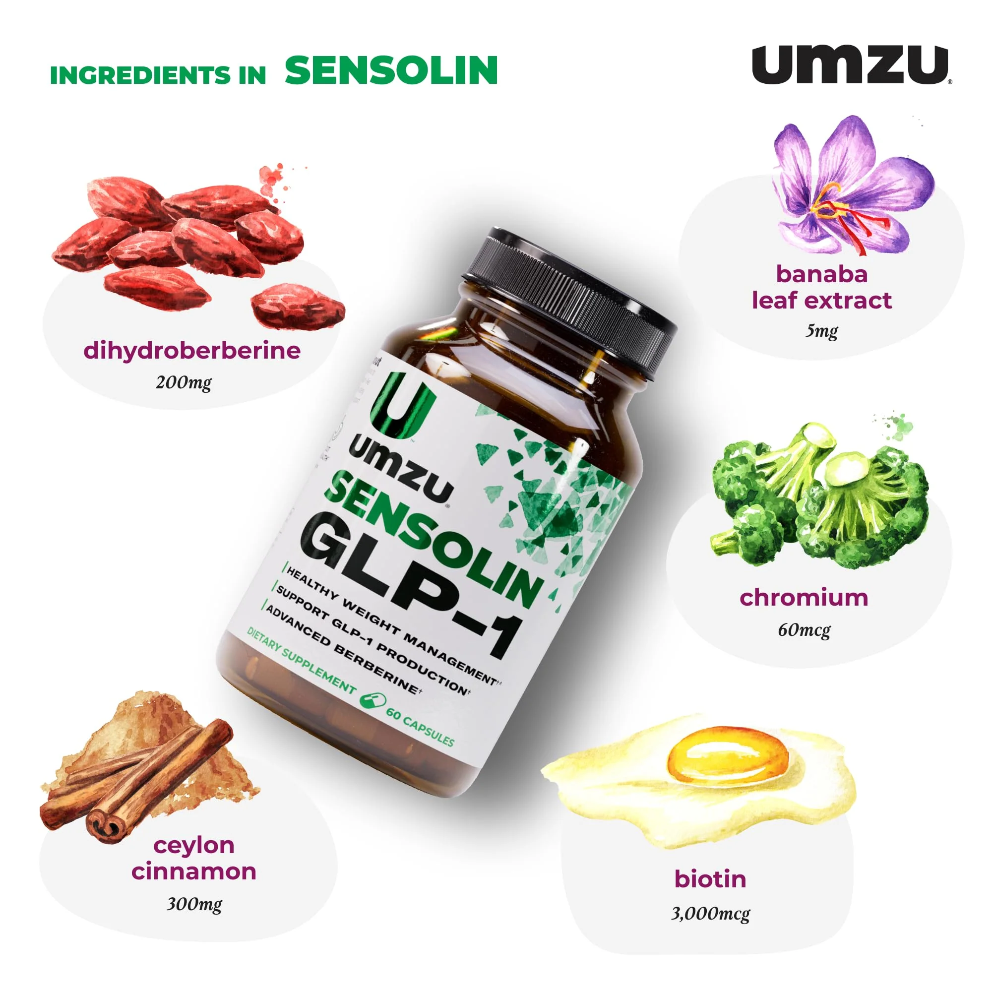 UMZU Sensolin GLP-1 Support Supplement – 30 Day Supply with Dihydroberberine, Cinnamon, Chromium & Biotin - Image 3