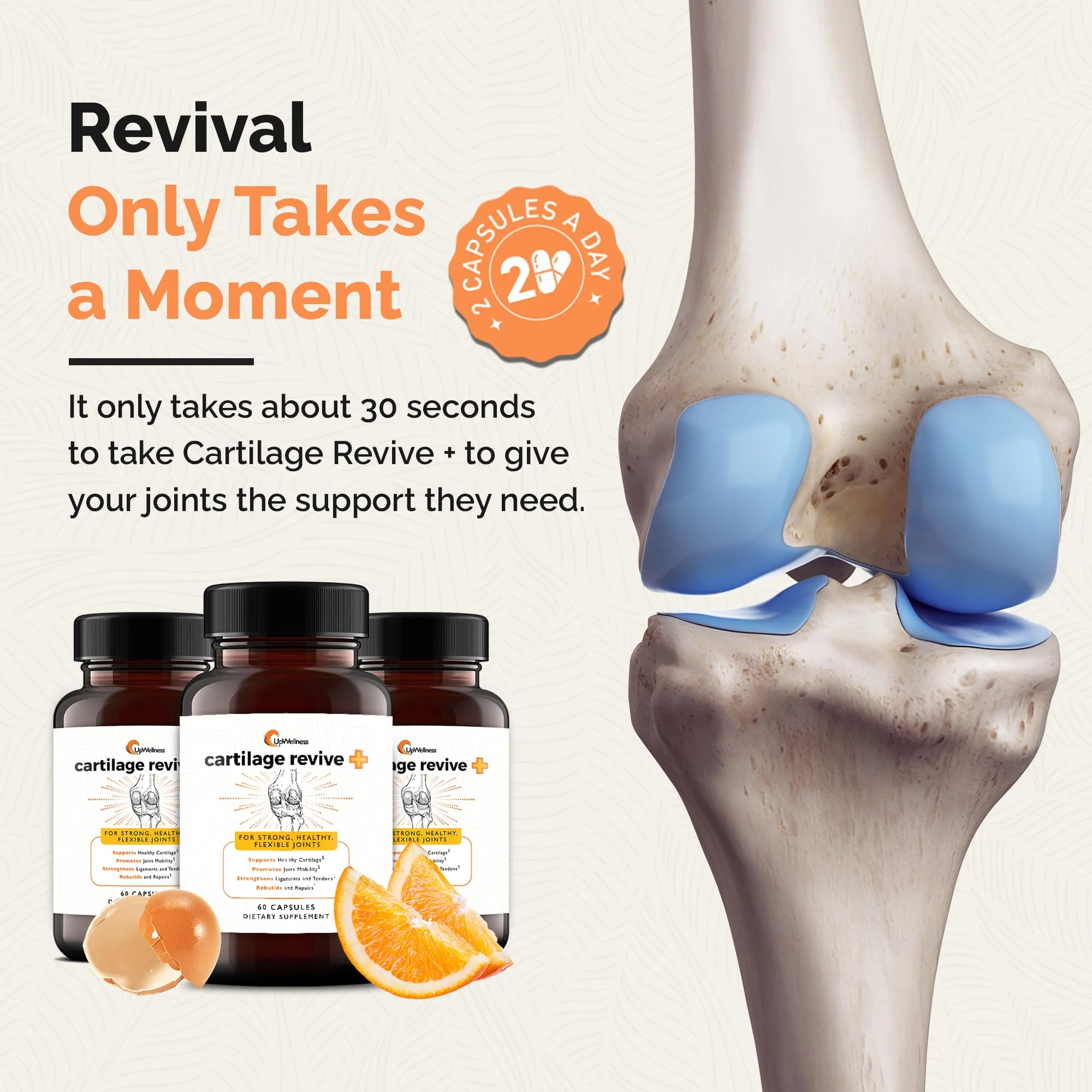 UpWellness Cartilage Revive + Joint Support – Type II Collagen, Glucosamine, MSM, Vitamin D3 & C – 60 Capsules - Image 6