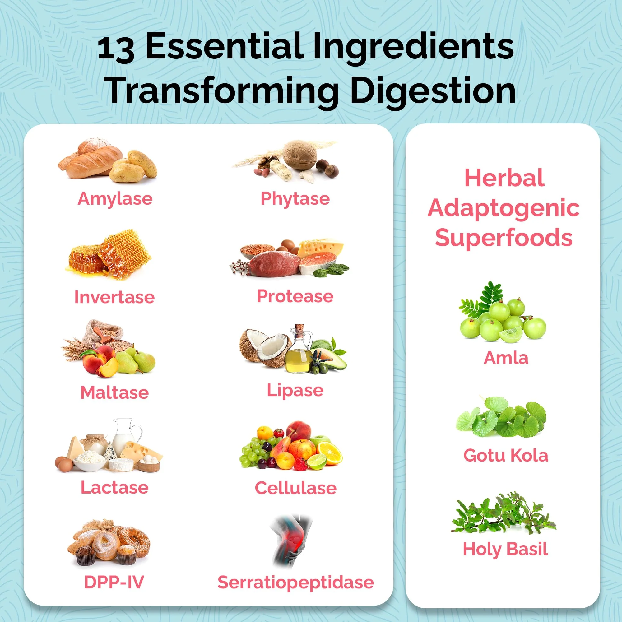 UpWellness Total Revive+ Digestive Enzymes | Broad-Spectrum Digestive Health | 90 Capsules - Image 5