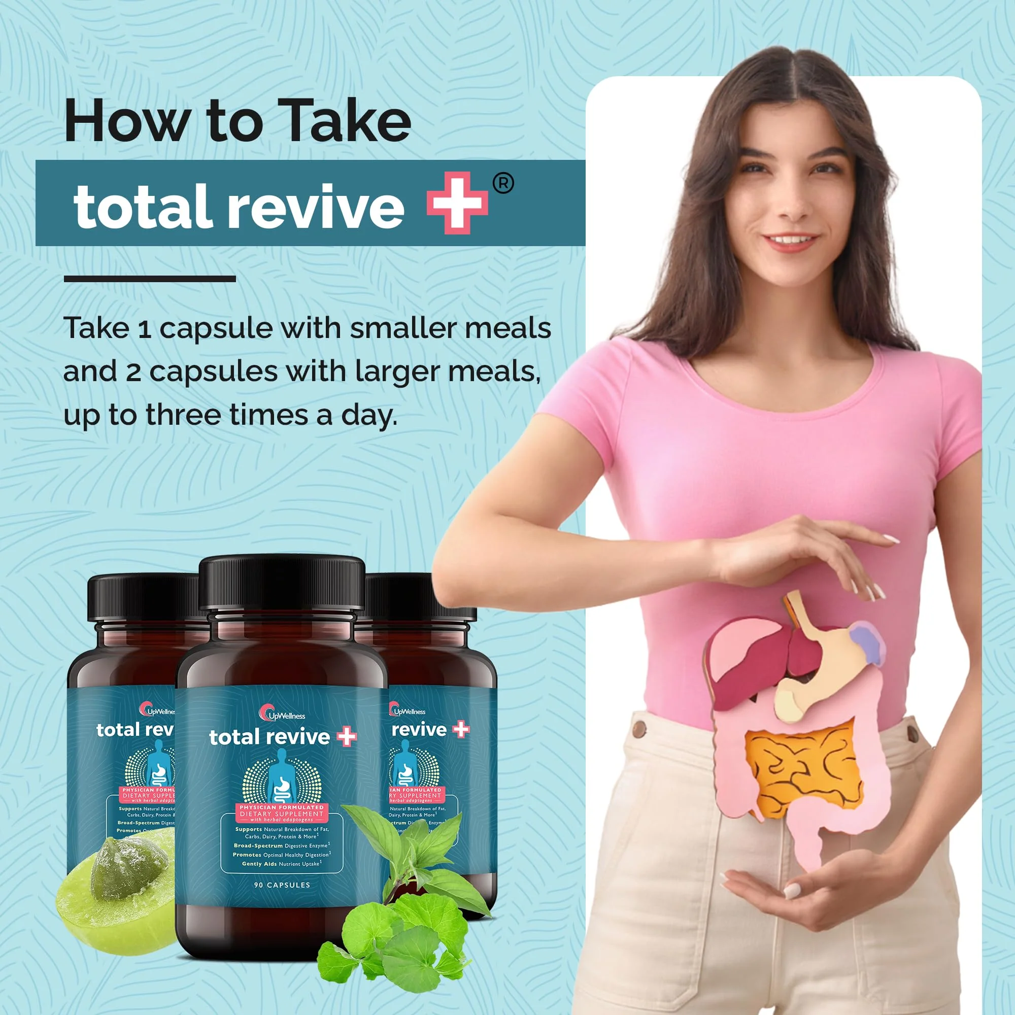UpWellness Total Revive+ Digestive Enzymes | Broad-Spectrum Digestive Health | 90 Capsules - Image 6