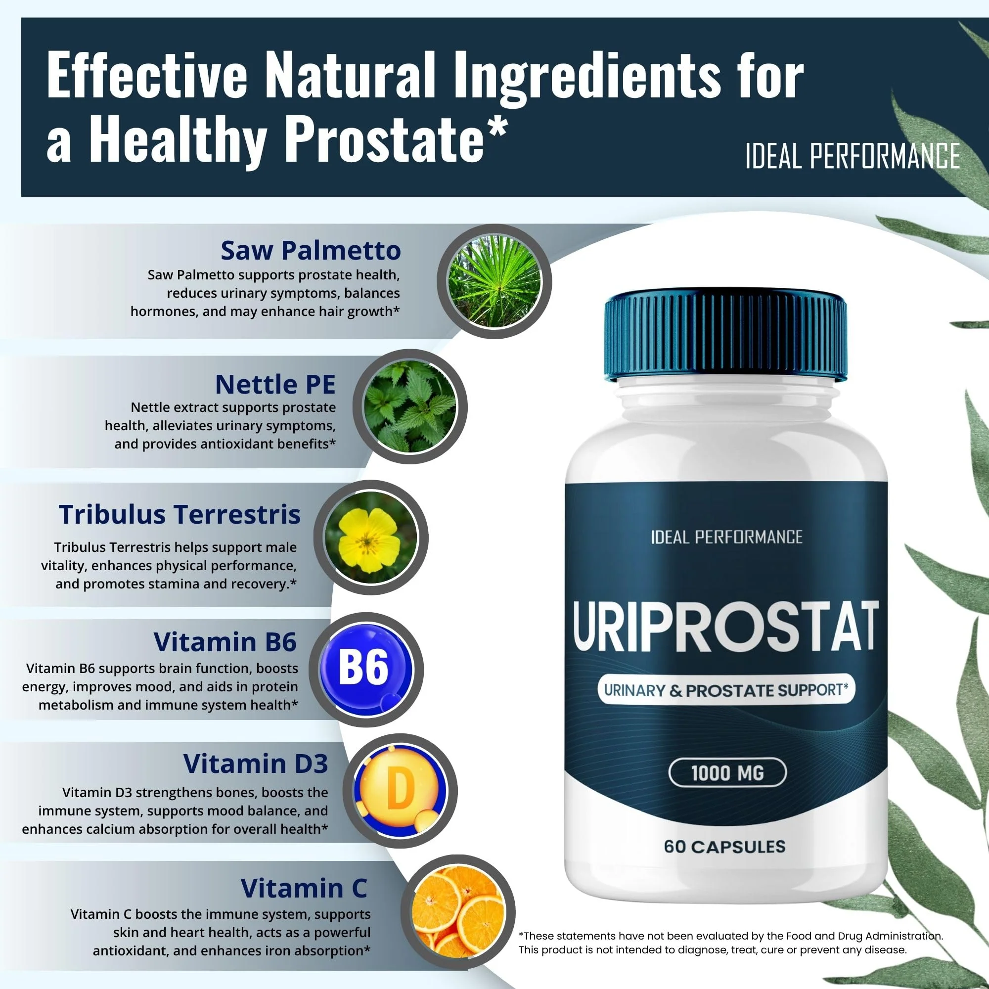 Uriprostat Prostate Health Supplements for Men - All-Natural Capsules (2 Pack) - Image 6