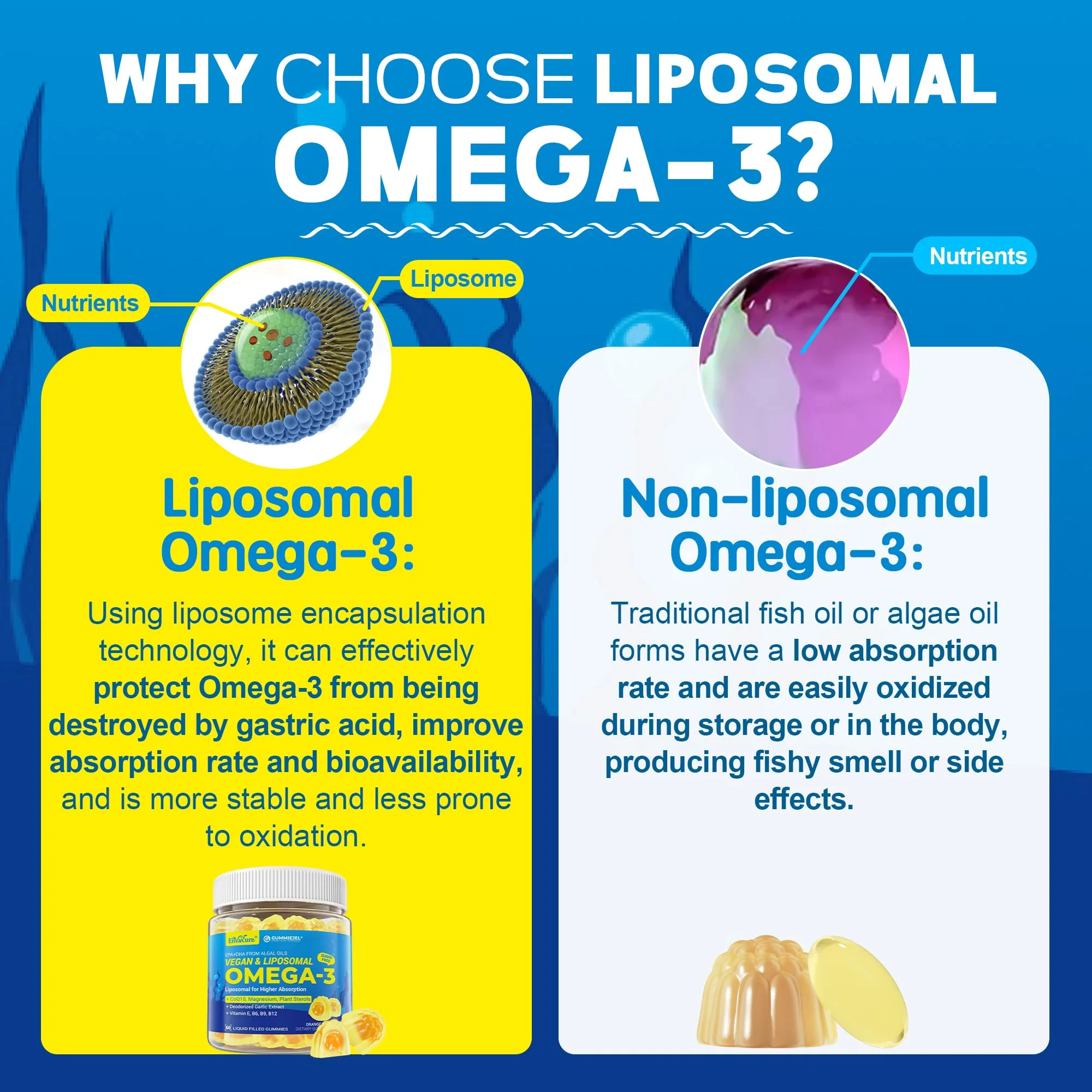 Vegan Omega-3 Gummies 1000mg with CoQ10 & Magnesium - EPA 600mg / DHA 400mg (Algae Liposomal) - Image 3
