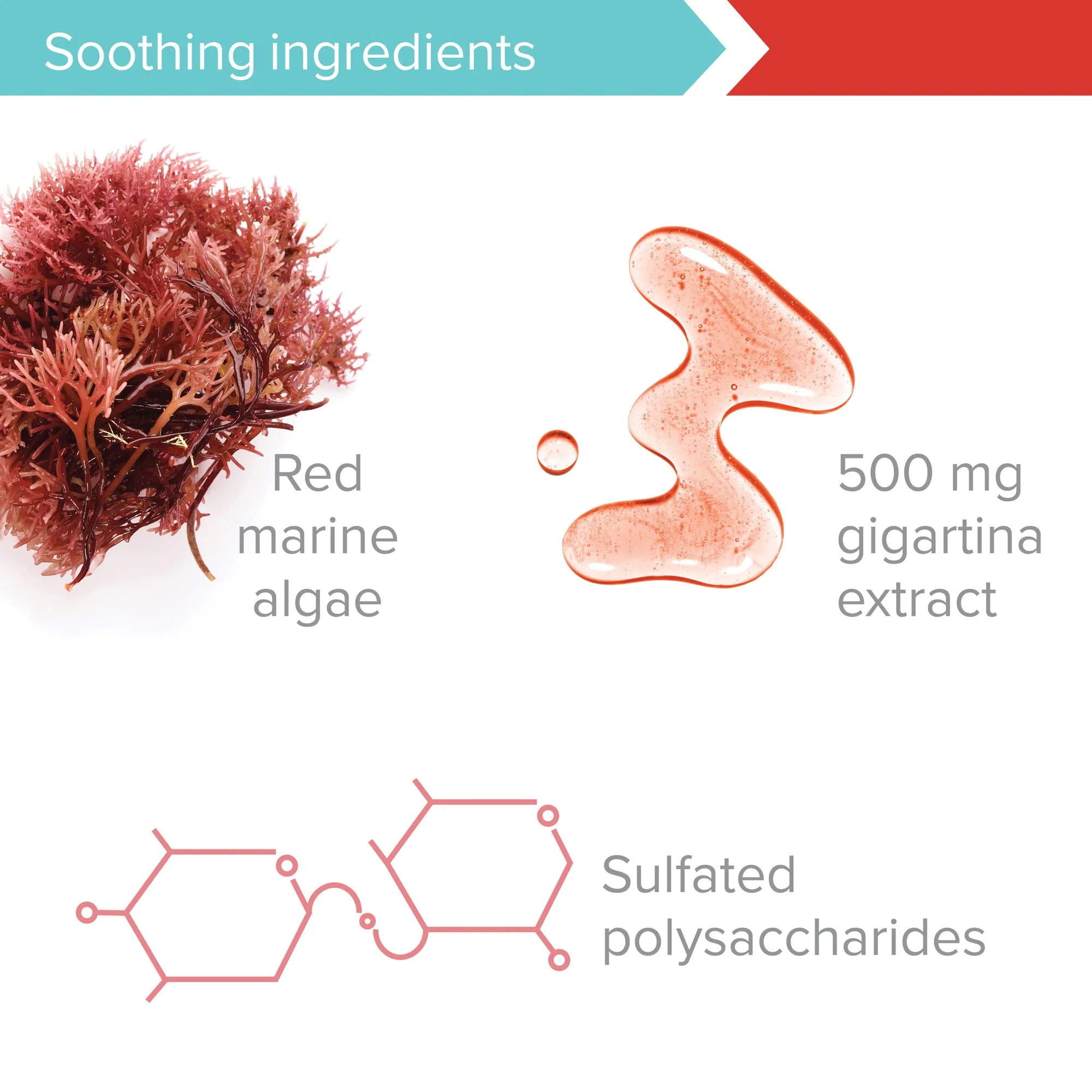 Vibrant Health: Gigartina Red Marine Algae – Plant-Based Immune Support, 60 Capsules (FFP) - Image 6