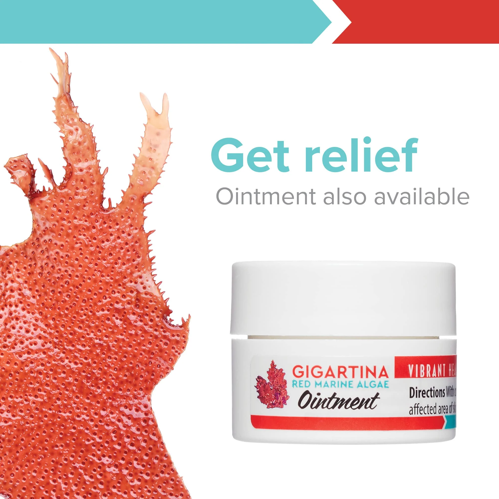 Vibrant Health: Gigartina Red Marine Algae – Plant-Based Immune Support, 60 Capsules (FFP) - Image 7