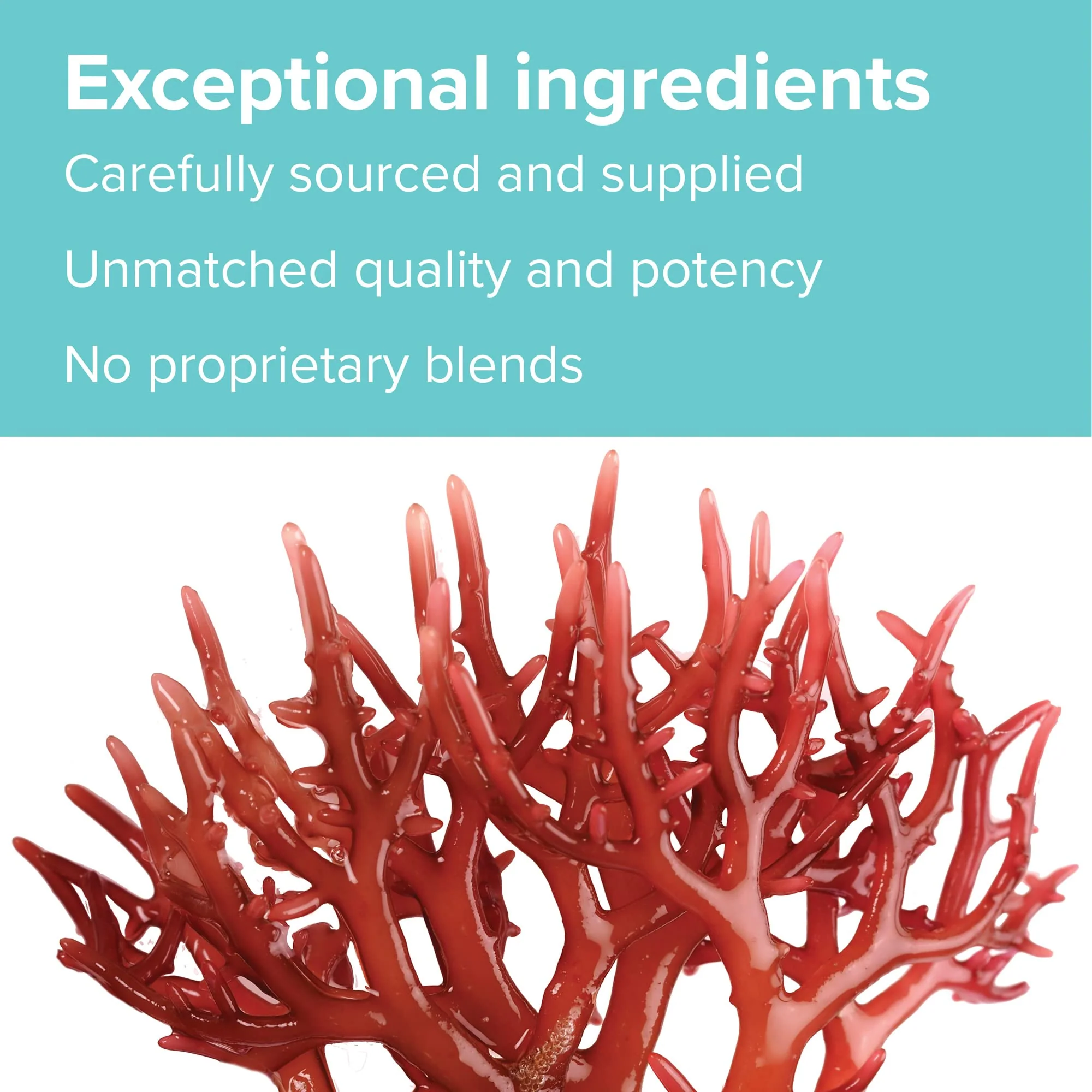Vibrant Health: Gigartina Red Marine Algae – Plant-Based Immune Support, 60 Capsules (FFP) - Image 8