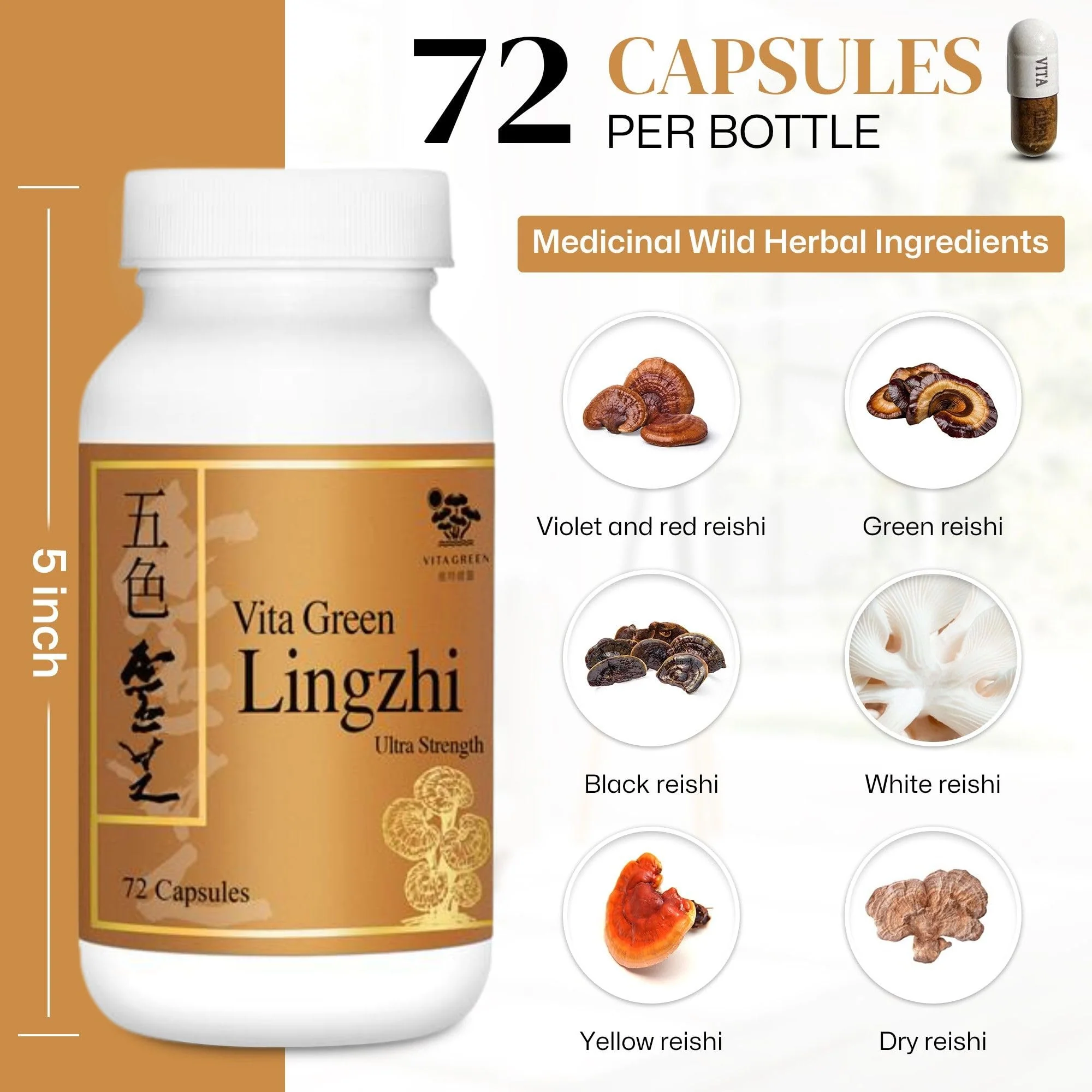 Vita Green Lingzhi Mushroom Capsules – Pure Reishi with Natural Antioxidants for Wellness, Energy & Immune Support – 72 Capsules - Image 12