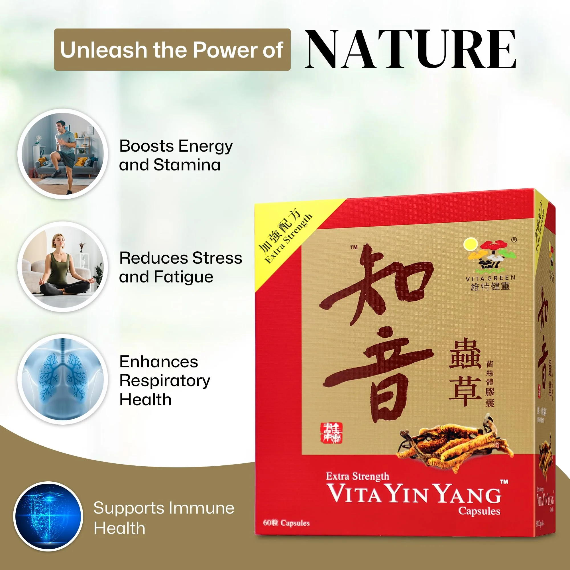 Vita Green Yin Yang Cordyceps Mycelium – Respiratory Wellness & Energy (60 Capsules) - Image 2