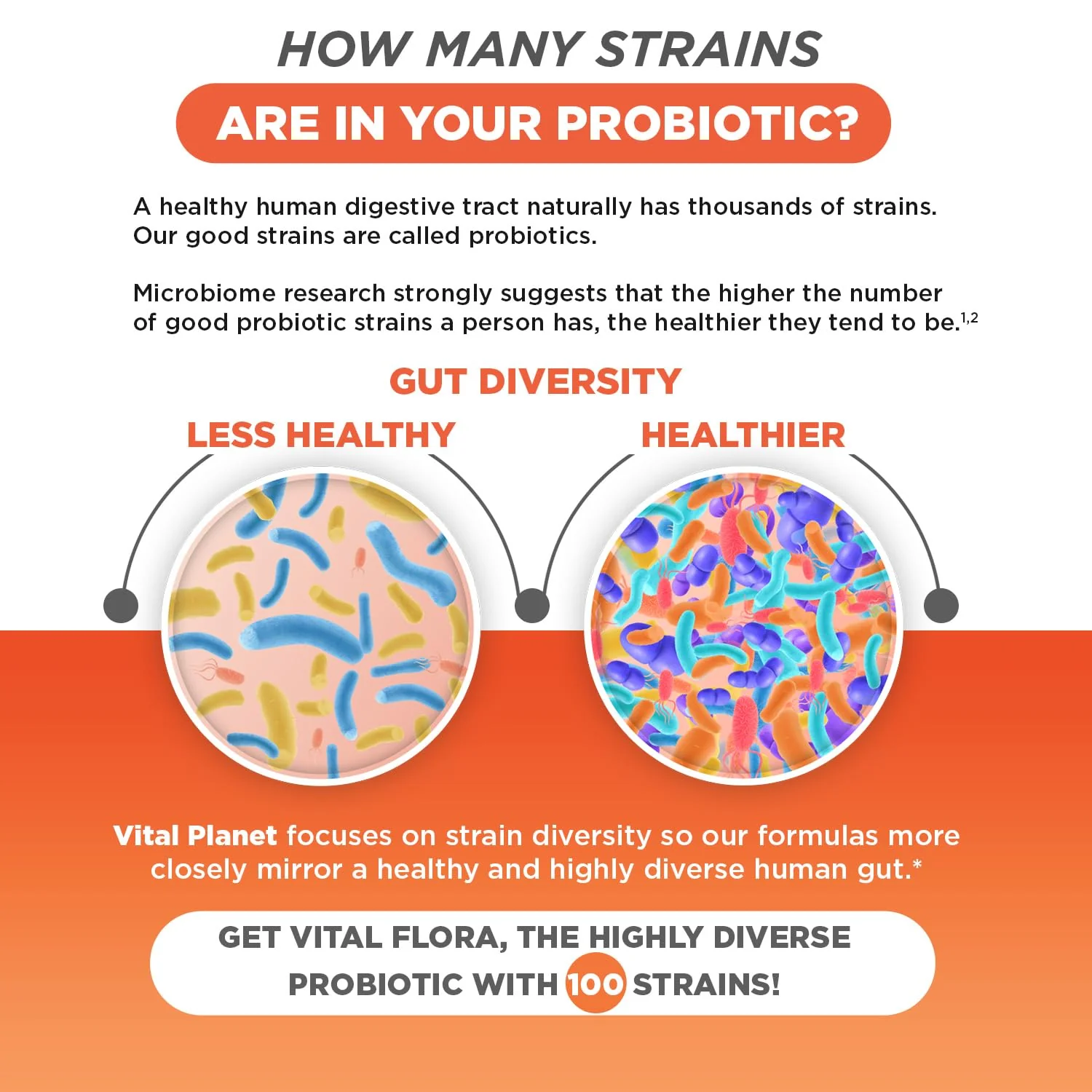 Vital Flora Advanced Probiotic 100 Billion CFU - 100 Strains, 10 Organic Prebiotics | Vital Planet - Image 6