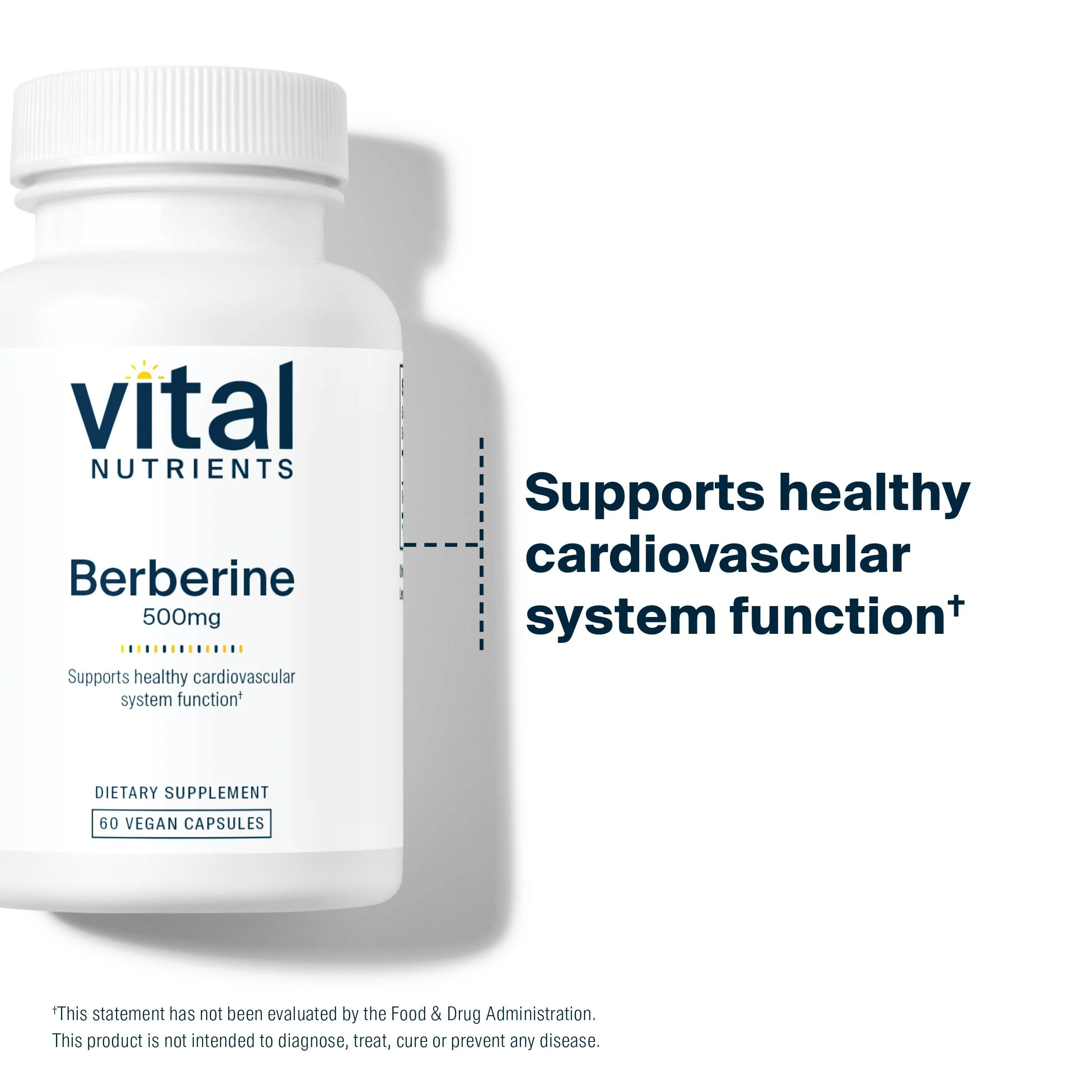 Vital Nutrients Berberine 500 mg Vegan Capsule — Supports Gut Function & Normal Triglyceride Levels | Gluten, Dairy & Soy Free | 60 Capsules - Image 12