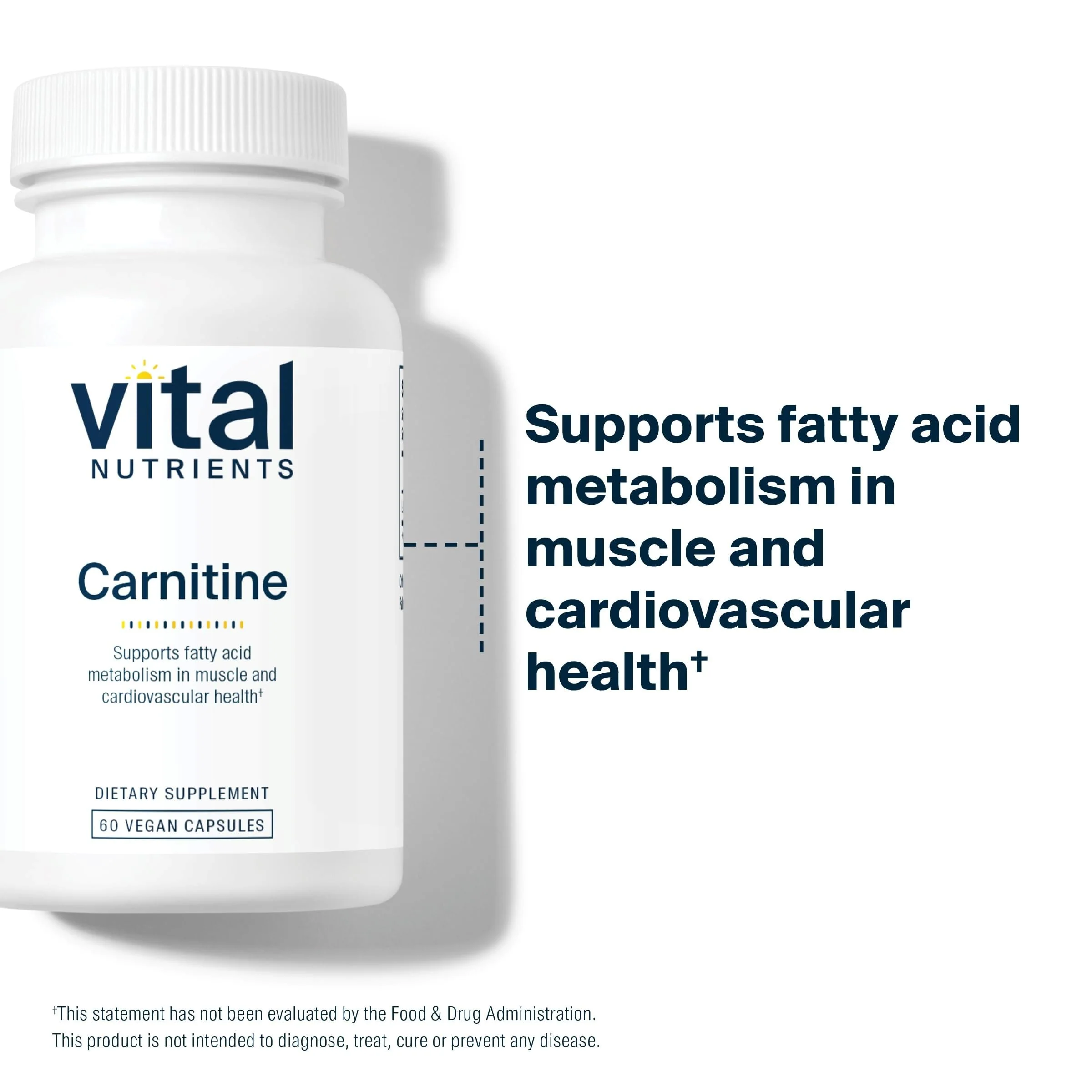 Vital Nutrients Carnitine 500mg – L-Carnitine for Heart Health | Vegan, Gluten & Dairy Free | 60 Capsules - Image 10