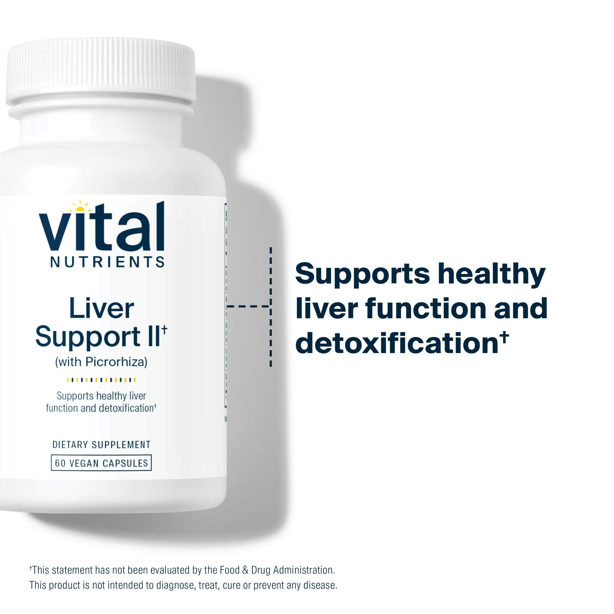 Vital Nutrients Liver Support II – Vegan Herbal Capsule Blend with Picrorhiza, Milk Thistle & Curcumin | Gluten-Free 60 Capsules - Image 12
