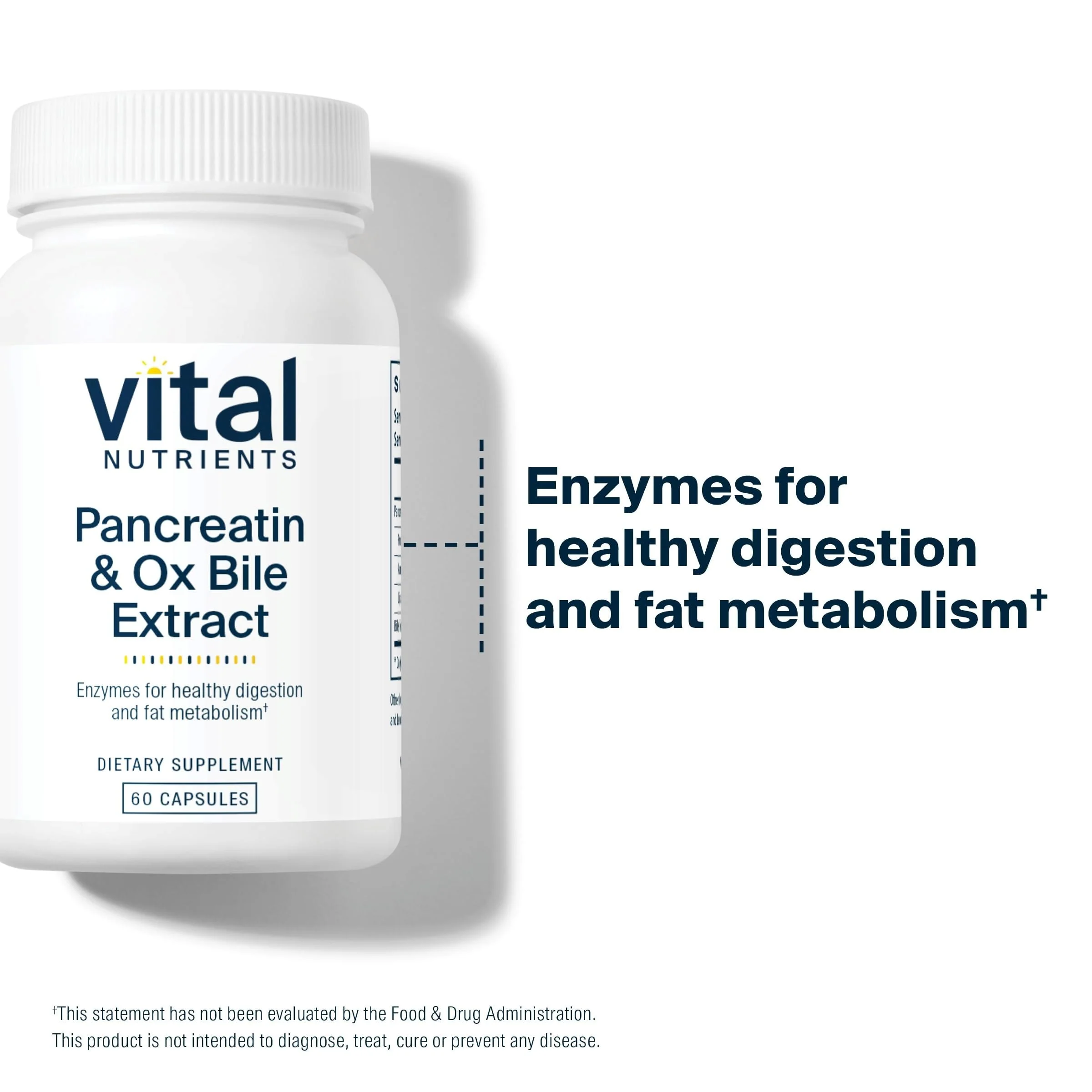 Vital Nutrients Pancreatin & Ox Bile Extract 500mg | Digestive Enzymes 60 Capsules - Image 3