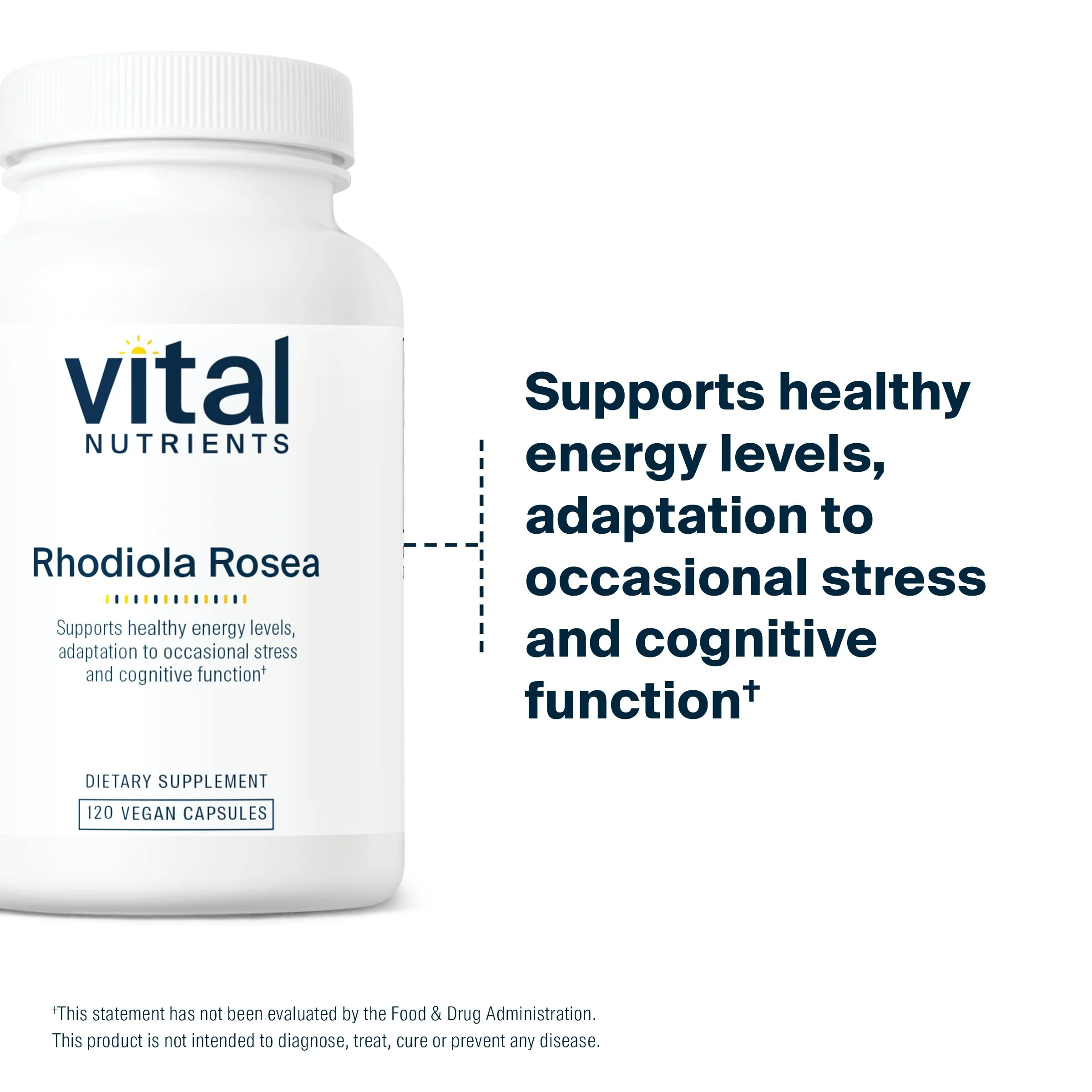 Vital Nutrients Rhodiola Rosea | Energy, Memory & Stress Support | 120 Capsules | Gluten, Dairy & Soy Free | Non-GMO - Image 6