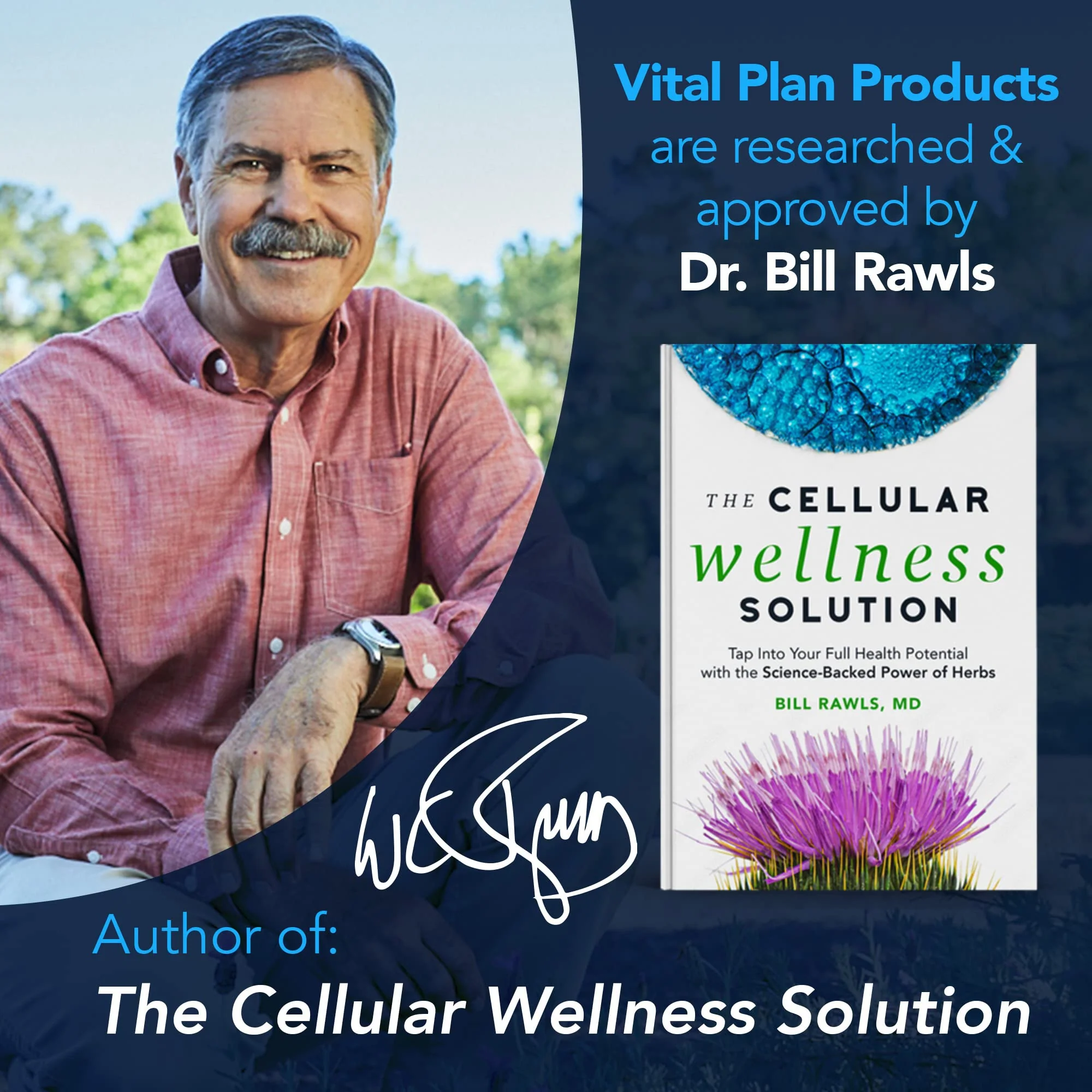 Vital Plan Daily Herbal Supplement by Dr. Bill Rawls – Immune Support, Microbiome Balance & Cell Health - Image 5