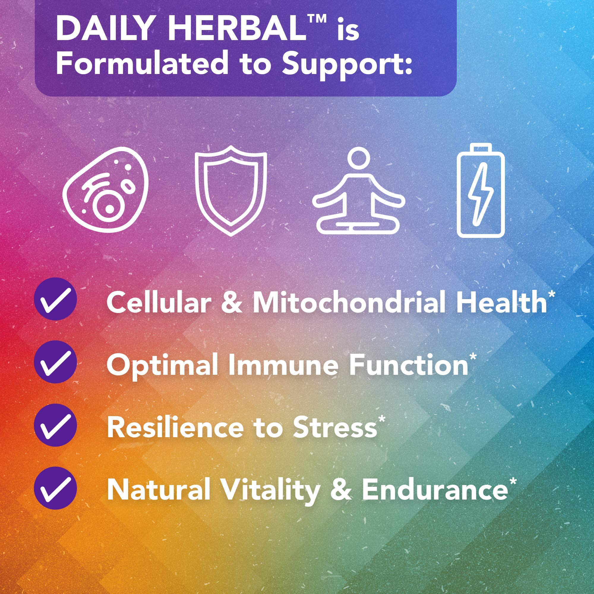 Vital Plan Daily Herbal Supplement by Dr. Bill Rawls – Immune Support, Microbiome Balance & Cell Health - Image 7