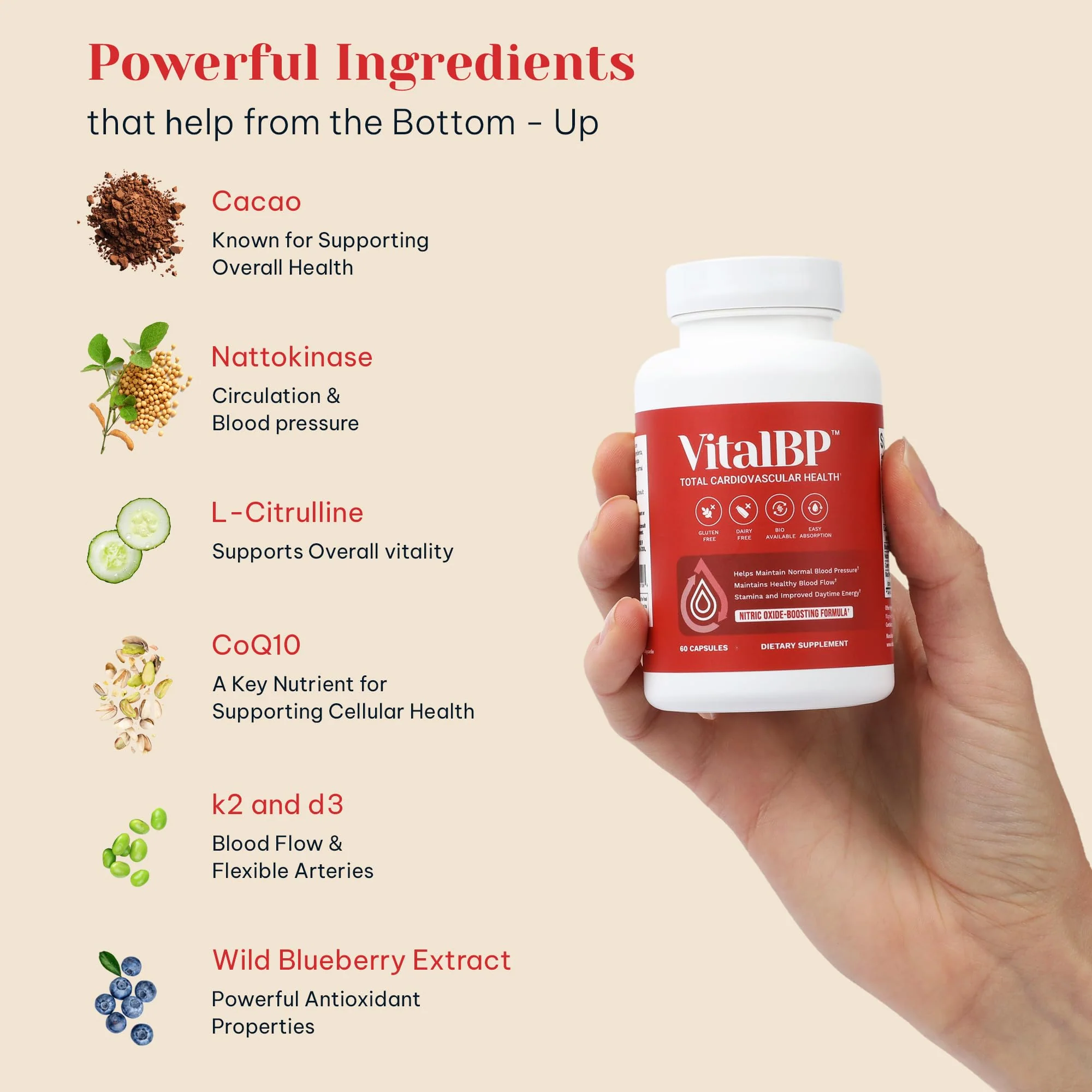 VitalBP - Support for Normal Blood Pressure & Healthy Blood Flow | CoQ10, L-Citrulline, K2 & D3 - 60 Capsules - Image 3