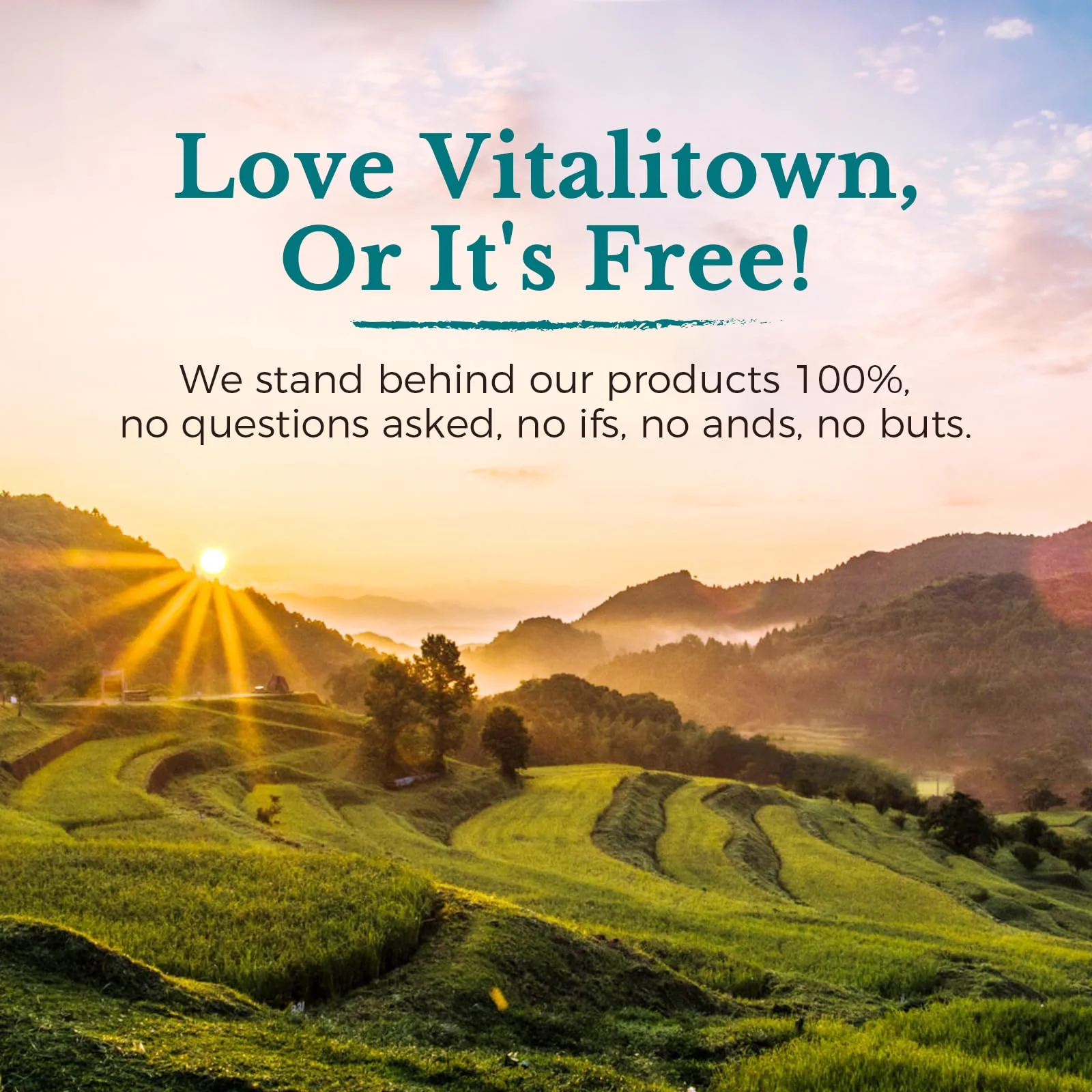 Vitalitown Probiotics 120 Billion CFUs | 36 Strains | Prebiotics & Digestive Enzymes | Shelf Stable | Vegan & Non-GMO | 60 Delayed-Release Veg Caps - Image 9