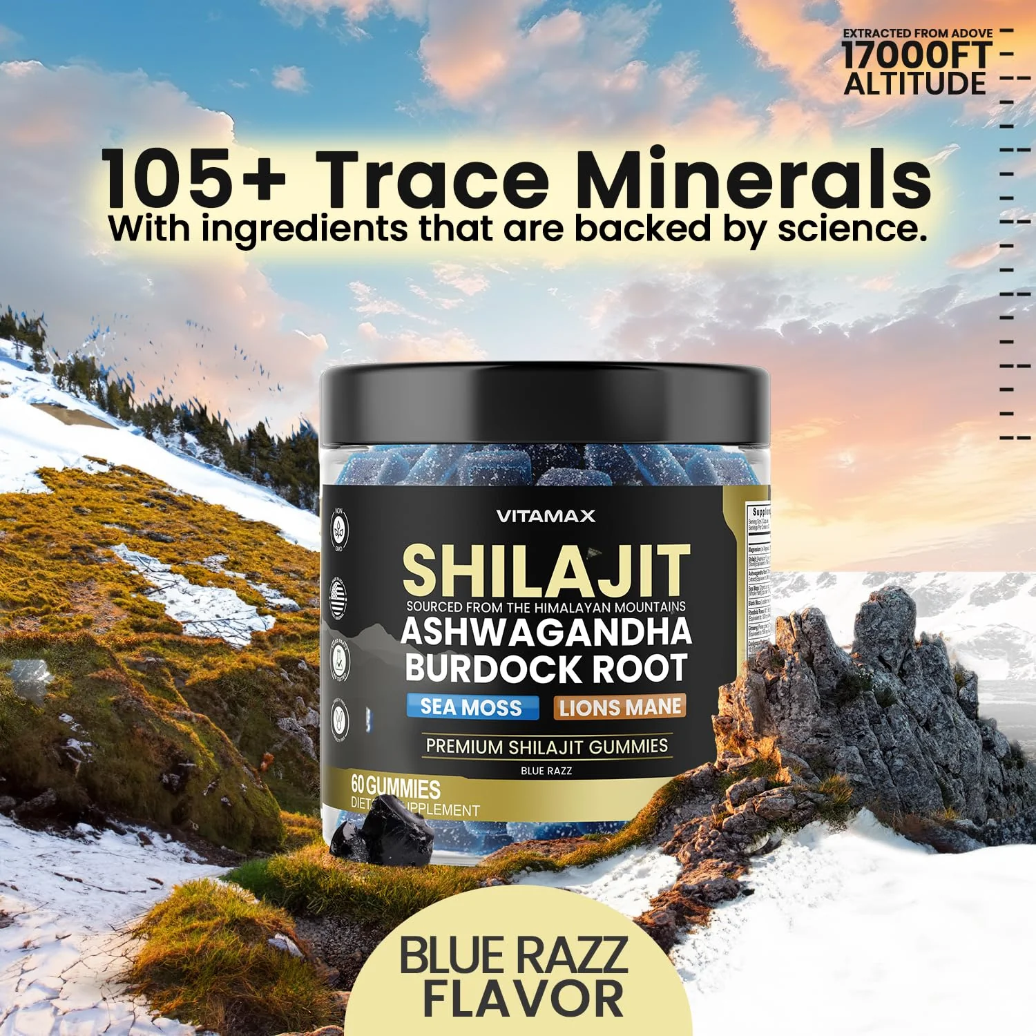 Vitamax Organic Shilajit Gummies with Sea Moss & Ashwagandha – 105+ Minerals, 60 Count - Image 10