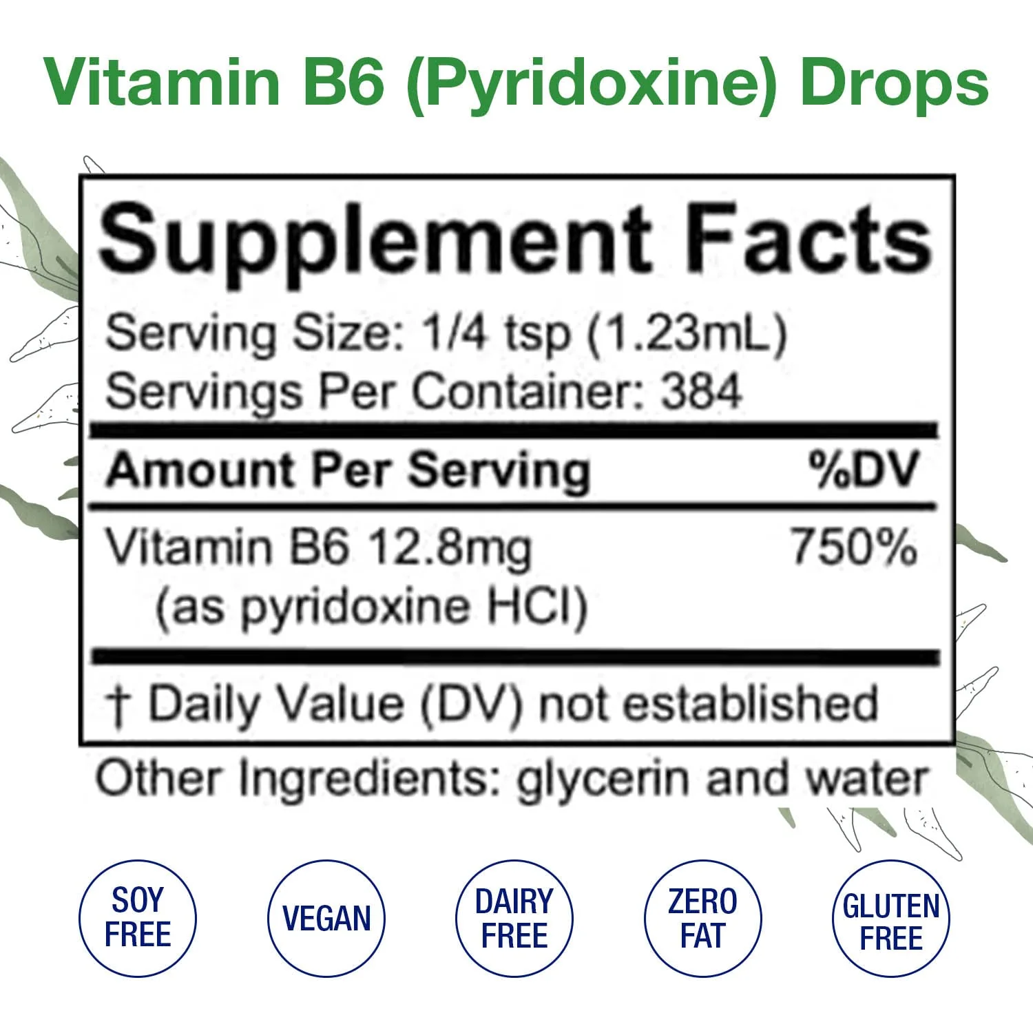 Vitamin B6 Drops (Pyridoxine) – Liquid B Vitamin for Brain & Immune Support (Alcohol-Free, 16 oz) - Image 3