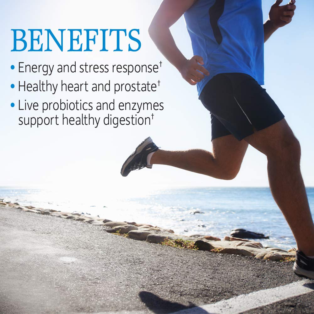 Vitamin Code Raw One for Men – Garden of Life | Once Daily Multivitamin - Image 2