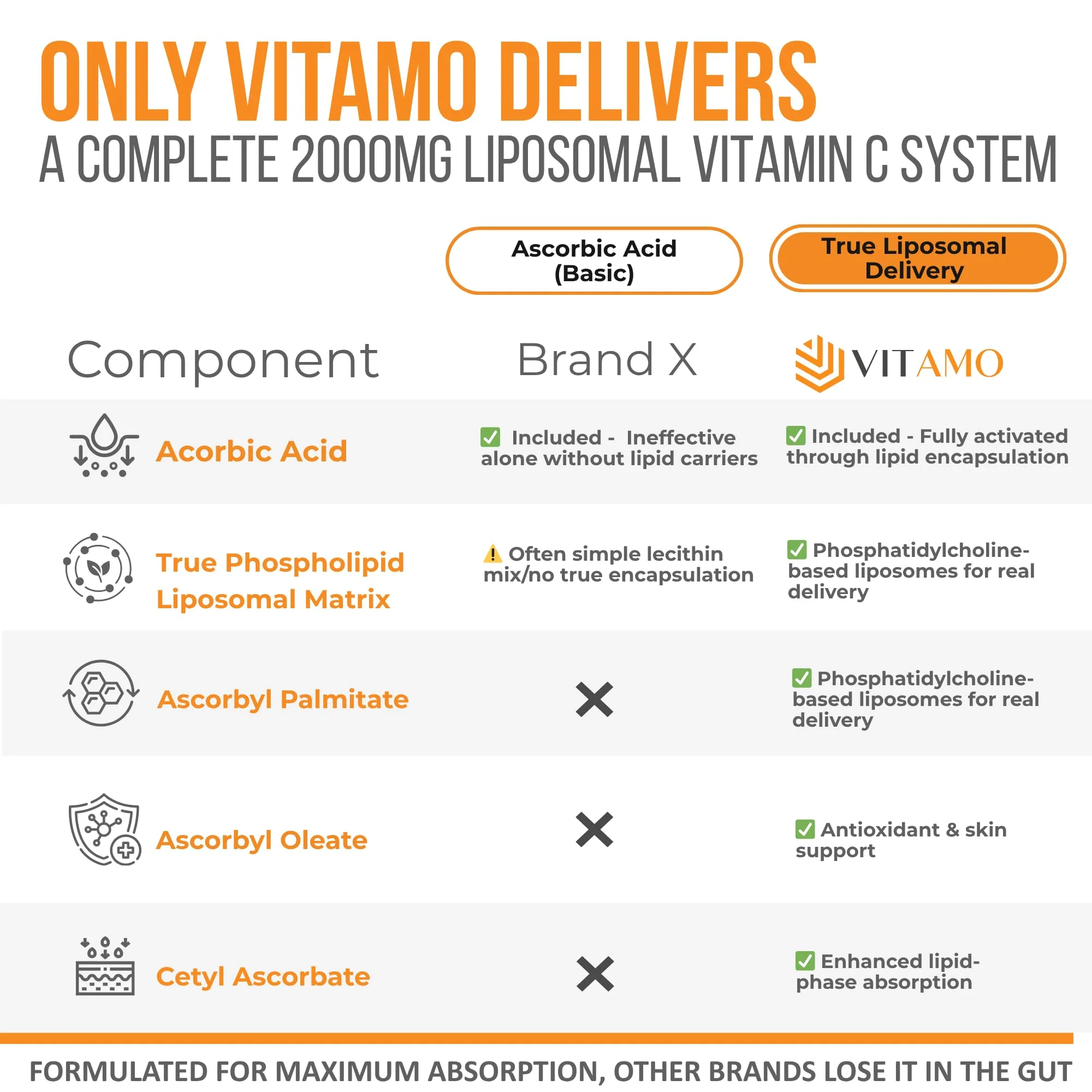 Vitamo Liposomal Vitamin C 2000mg | High-Absorption Immune Support & Skin Health | 300 Capsules - Image 10