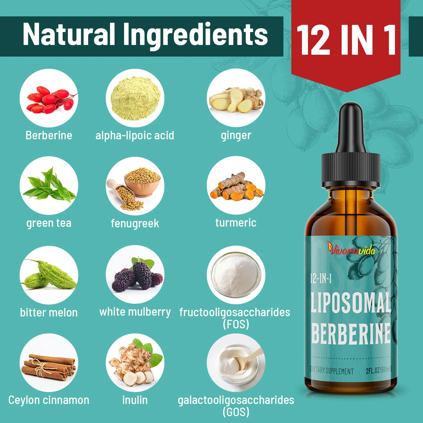 Vivaravida Berberine HCl Drops 3000 mg | Liposomal Berberine HCl Liquid - Image 3