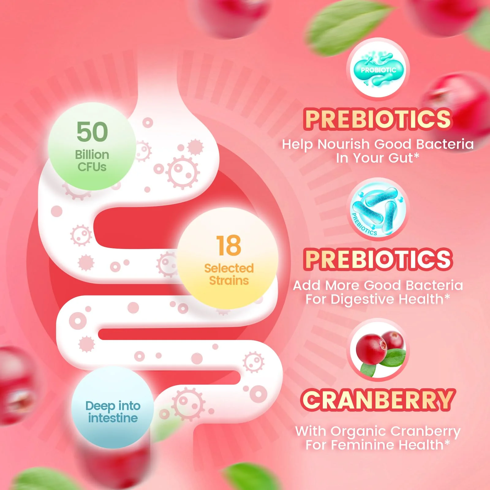 VivoNu Viginal Probiotic for Women – 60 Gummies for Feminine Balance, 100 Billion CFU Blend - Image 3