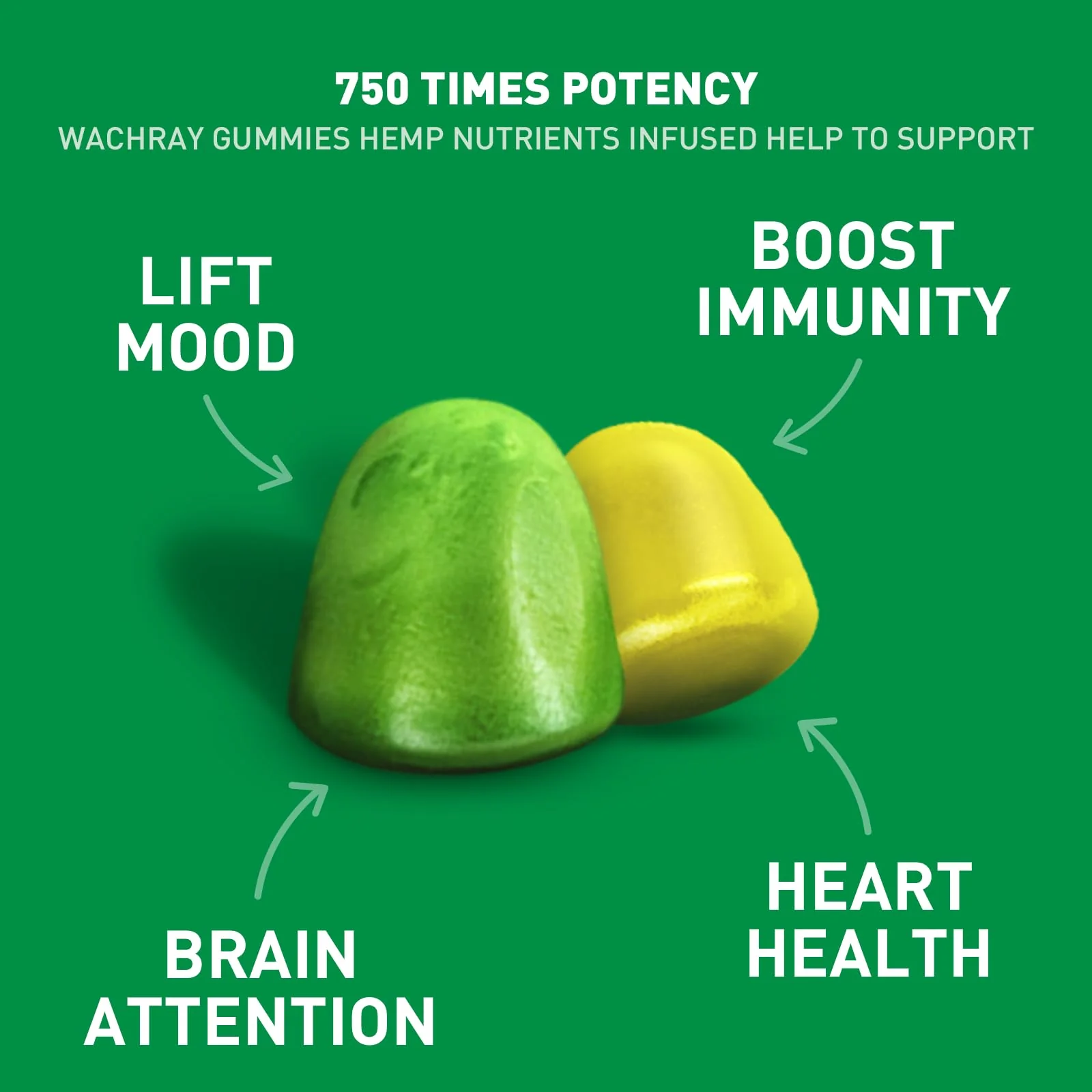 WACHRAY Nutrition: 3 Packs Organic Hemp Gummies – 7.5M High Strength Hemp Oil Infused, 240 Gummies per Bottle - Image 6