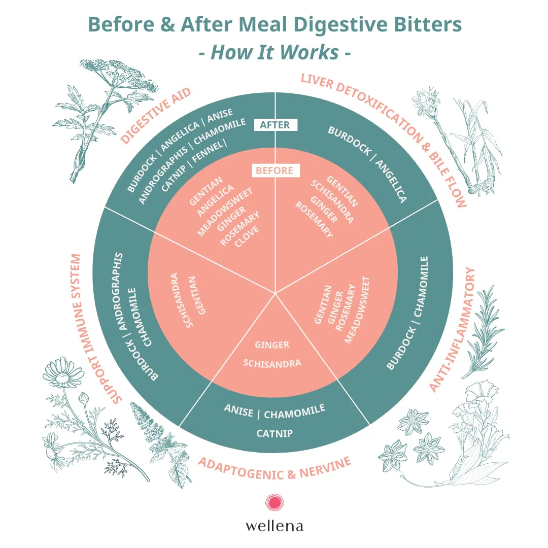 Wellena Liver & Digestive Bitters Kit – Before & After Meal Liquid Herbal Support - Image 4