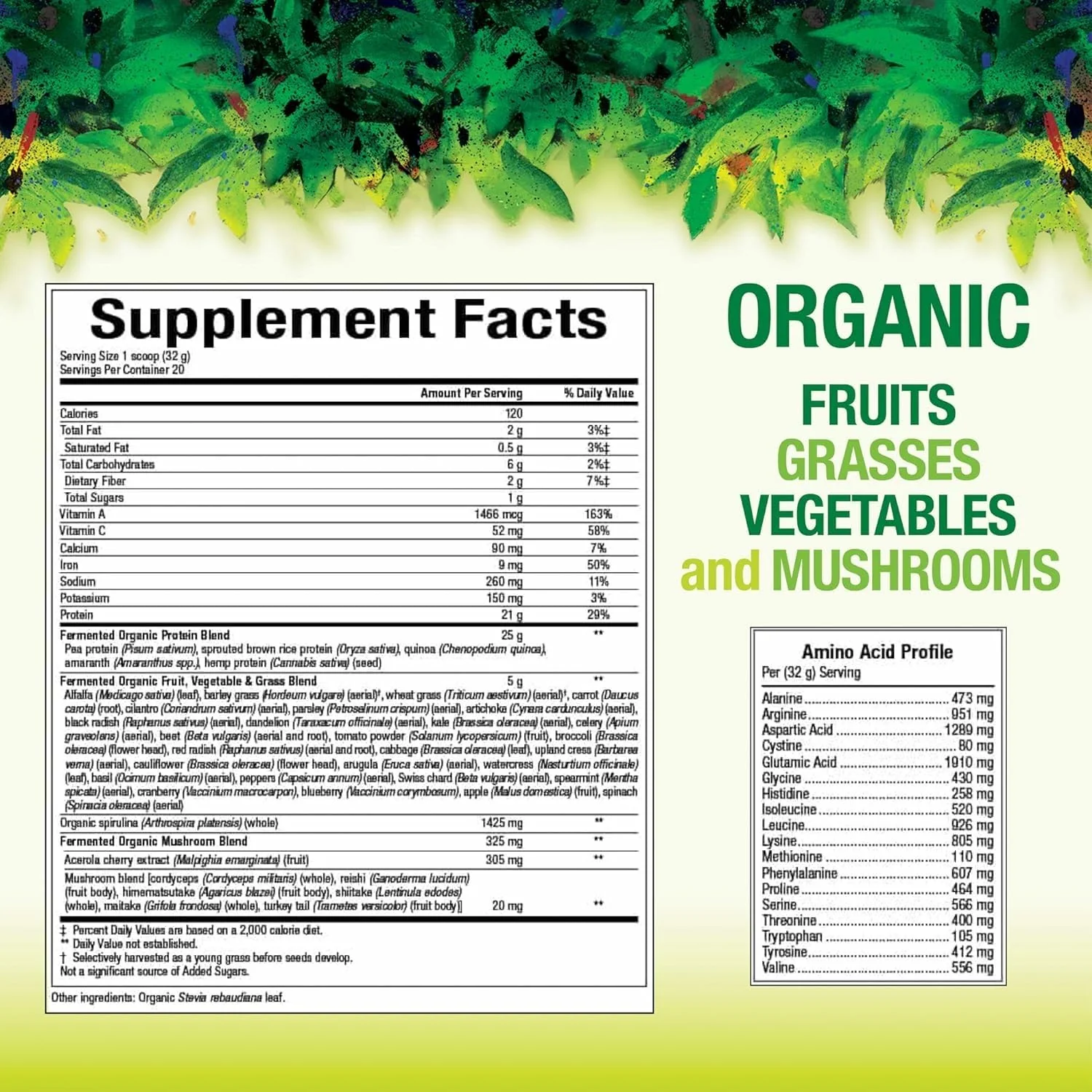 Whole Earth & Sea Organic Fermented Protein & Greens, Unflavored, 1 lb 9 oz | Natural Factors - Image 2