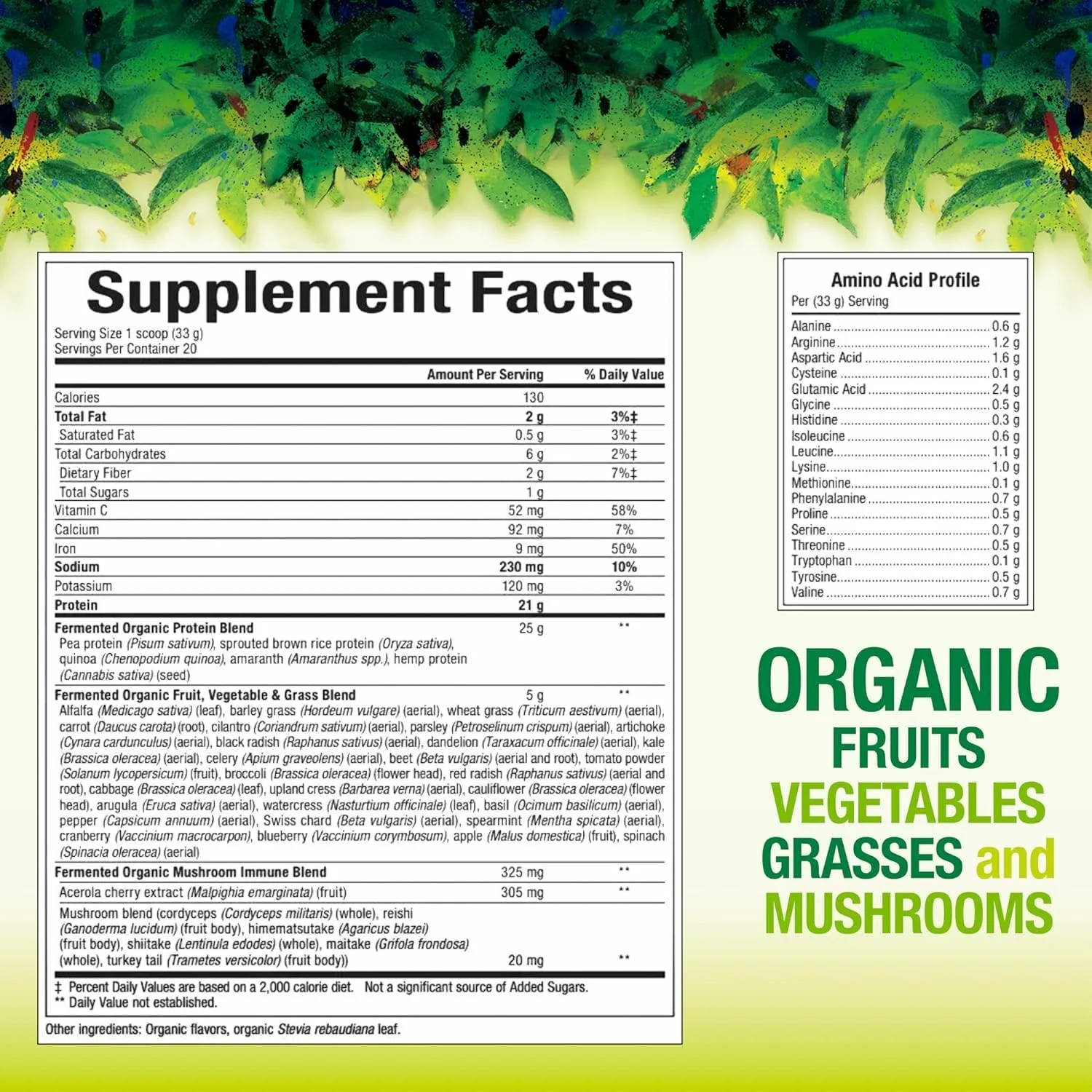 Whole Earth & Sea Organic Fermented Protein & Greens – Vegan Protein, Tropical, 1 lb 7.3 oz | Natural Factors - Image 2