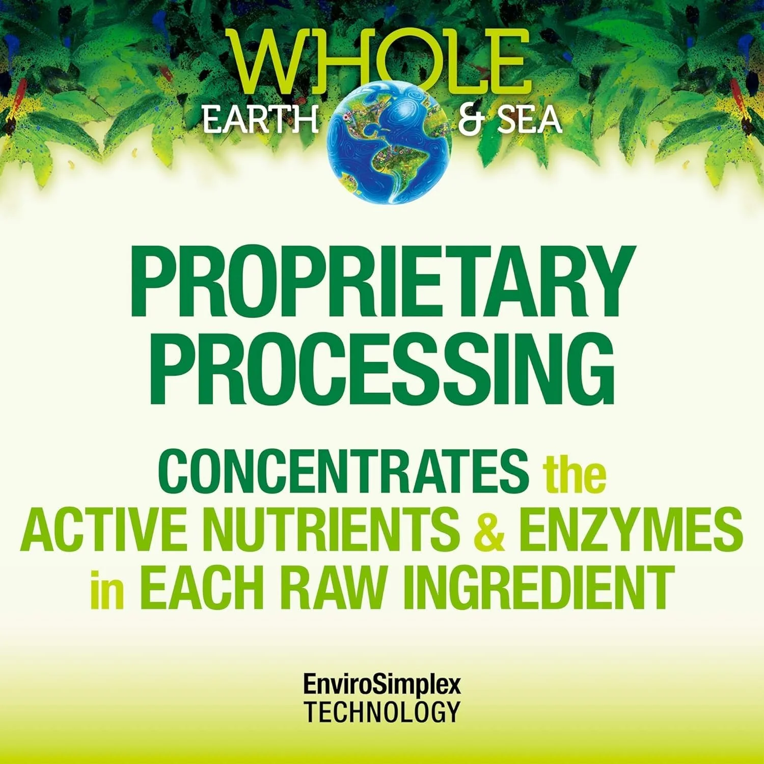 Whole Earth & Sea Organic Fermented Protein & Greens – Vegan Protein, Tropical, 1 lb 7.3 oz | Natural Factors - Image 6