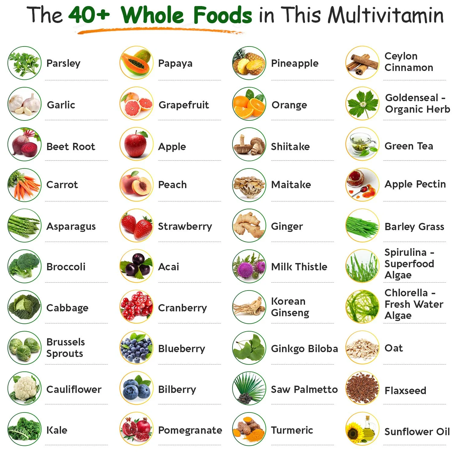 Wholesome Wellness Whole Food Multivitamin for Men – Vegan, Non-GMO, 120 Tablets - Image 14