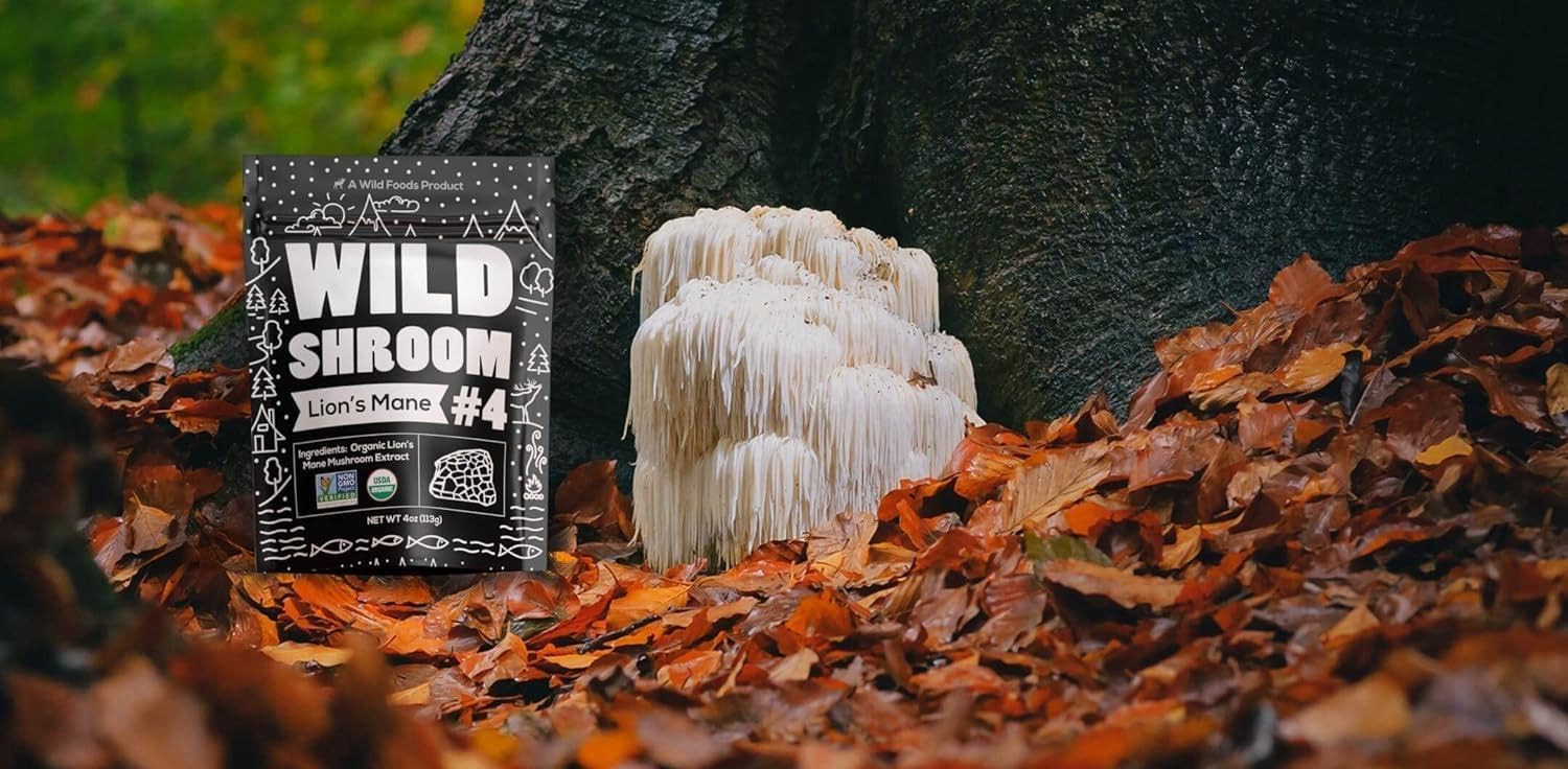 Wild Foods Lions Mane Powder 10:1 Organic Mushroom Extract – 4 oz Pack of 2 | Brain Health & Focus - Image 5