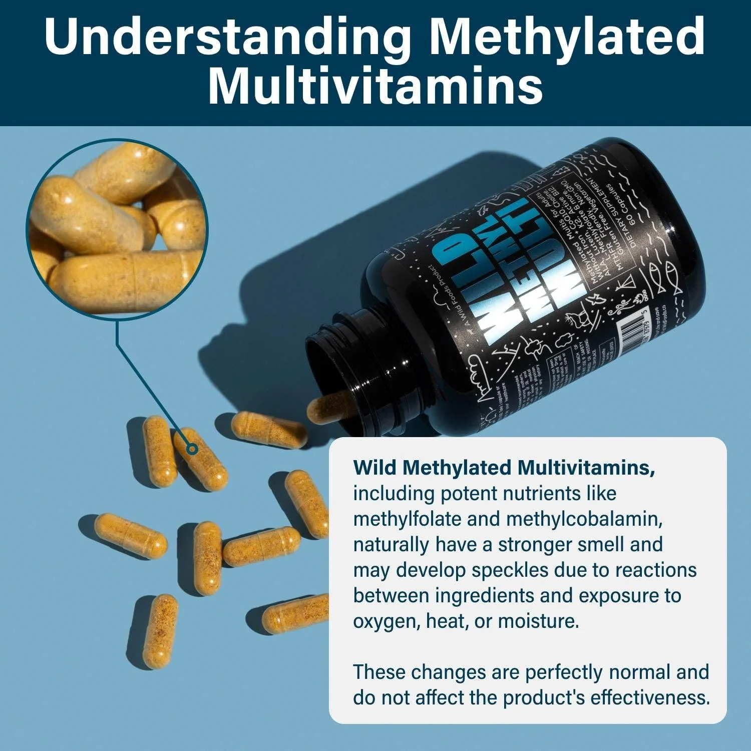 Wild Foods Methylated Multivitamin for Men & Women - Iron-Free Daily Multi with Methyl B12, Folate, A, D, K2, CoQ10 (Pack of Two) - Image 12