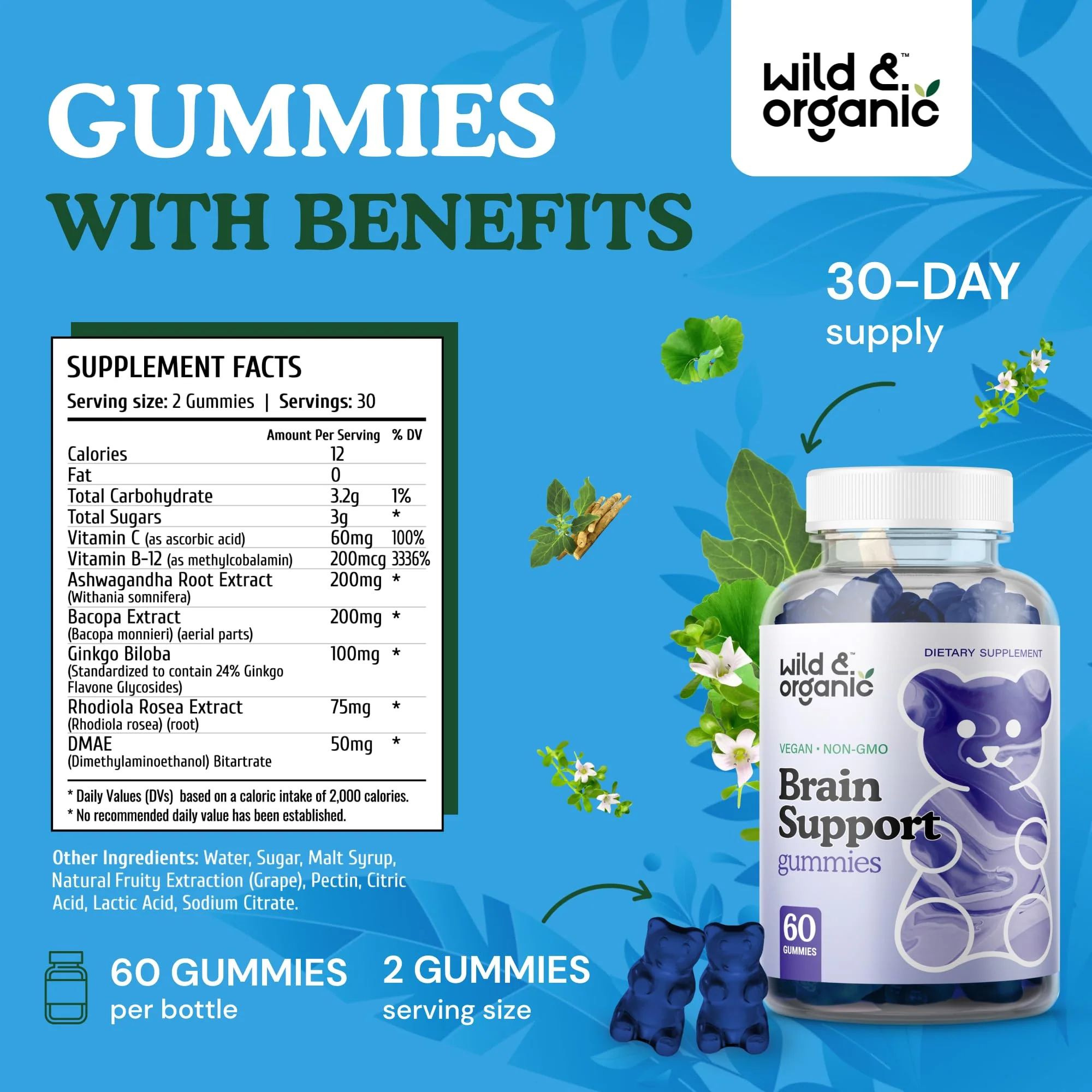 Wild & Organic Brain Support Gummies – Focus & Clarity with Ashwagandha, B12, Ginkgo, Bacopa – Vegan Gummies (Pack of 2) | 60 Gummies - Image 3
