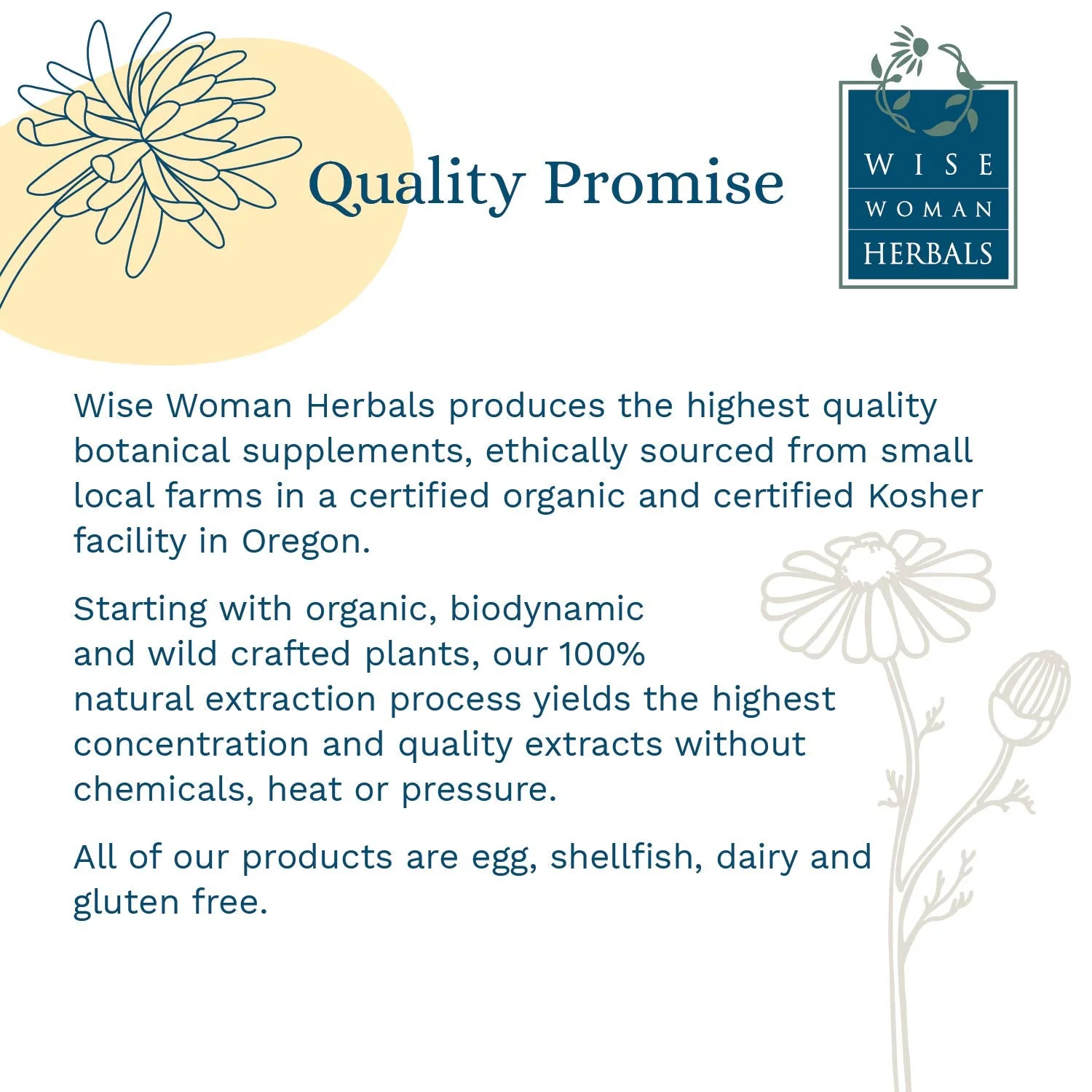 Wise Woman Herbals Eleuthero Root Solid Extract 4:1 – Alcohol-Free Adrenal & Stress Support, Energy & Immunity, 4 Fl Oz - Image 4