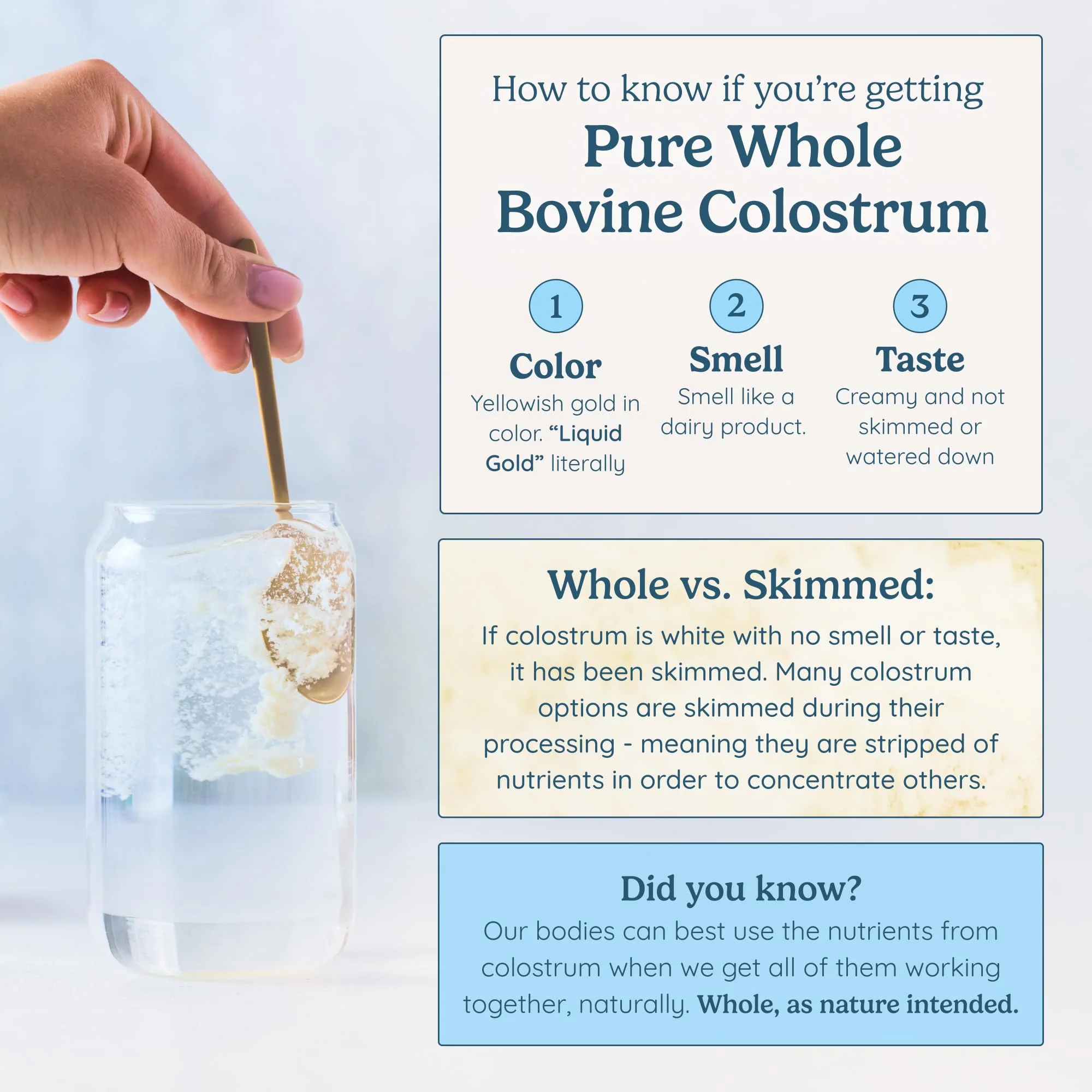 WONDERCOW Colostrum Powder for Gut Health, Immune Support & Recovery | Whole Bovine Colostrum, Unflavored, 30 Servings - Image 11