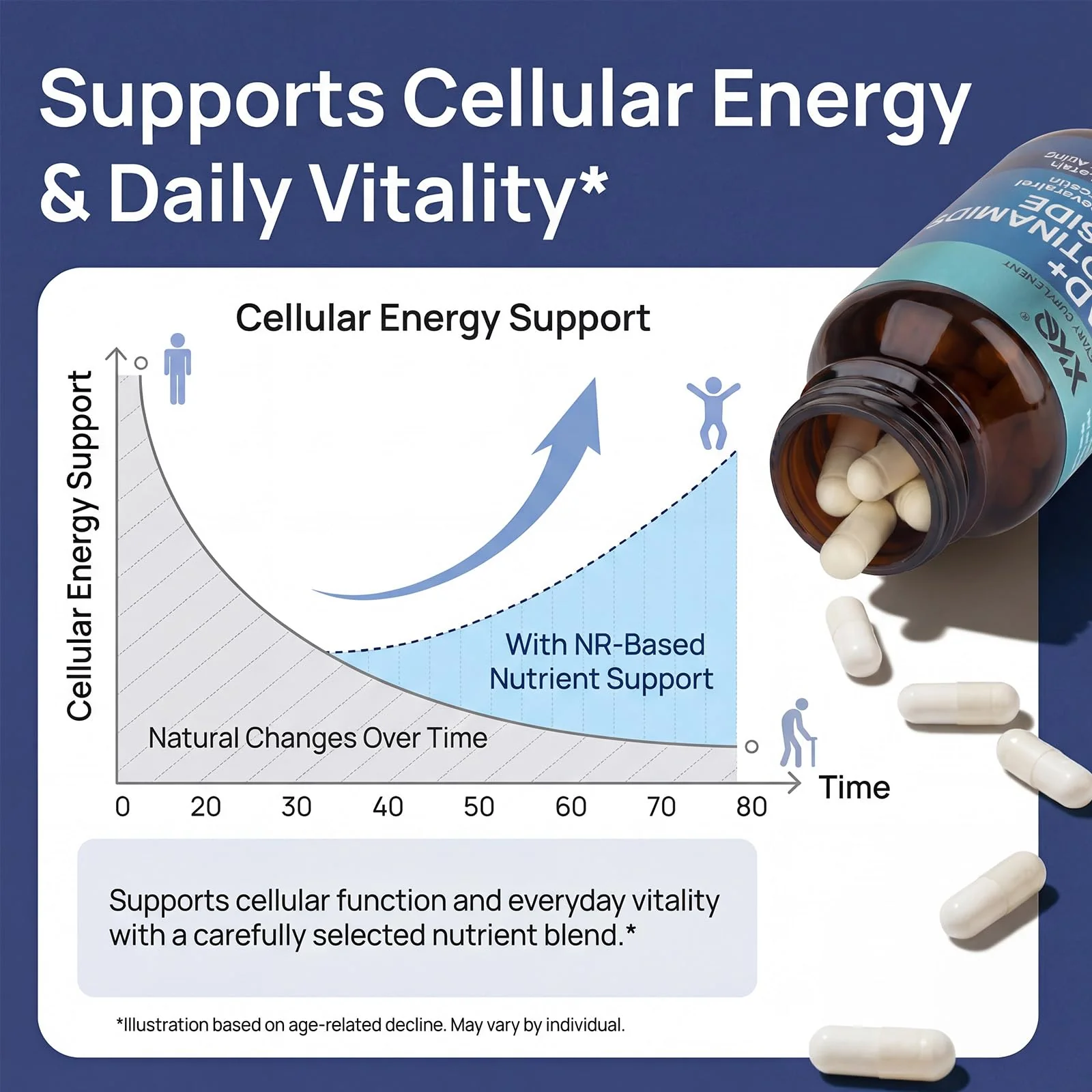 XKQ NAD+ Supplement 910mg – 60 Servings | Nicotinamide Riboside for Energy & Healthy Aging - Image 11