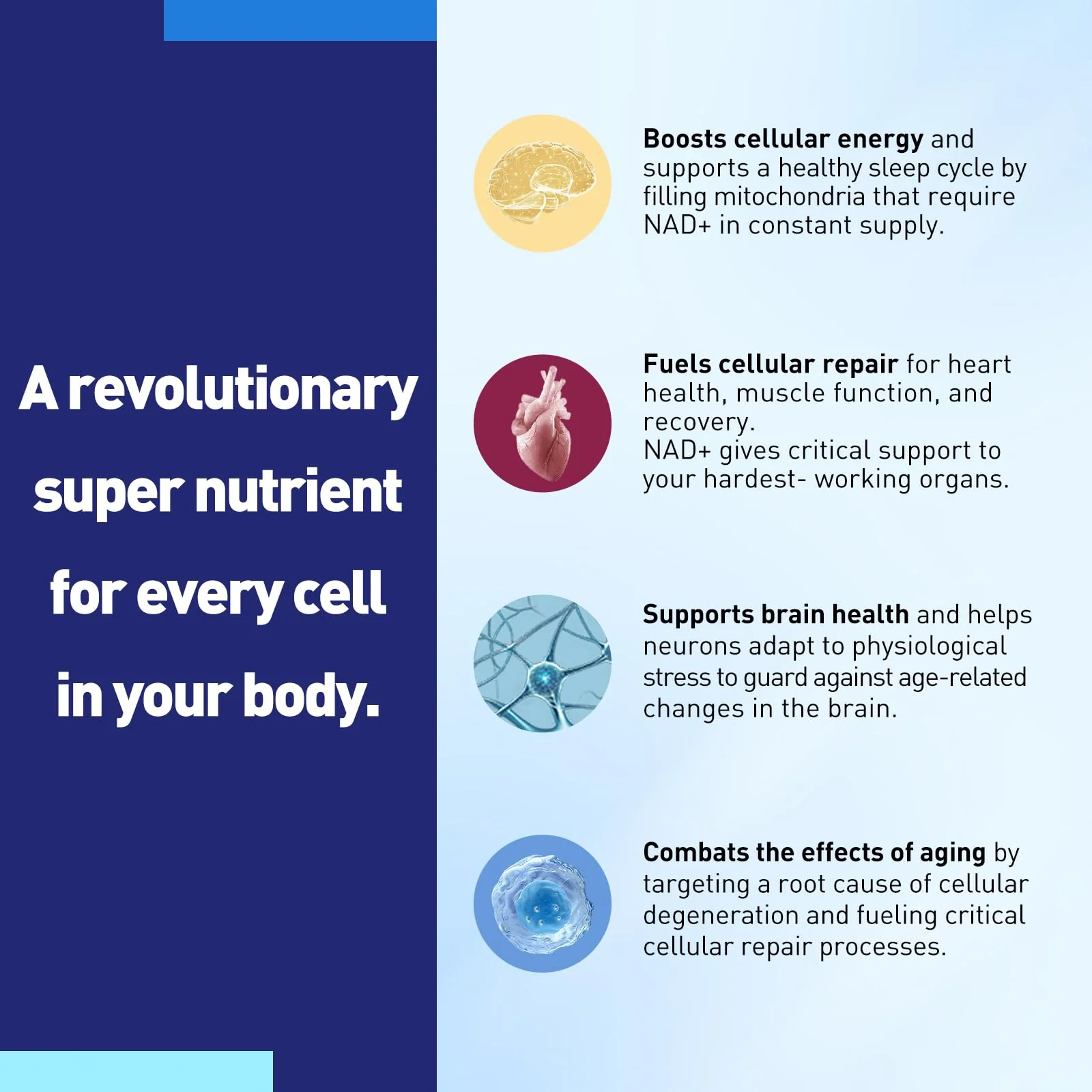 XKQ NAD+ Supplement 910mg – 60 Servings | Nicotinamide Riboside for Energy & Healthy Aging - Image 4