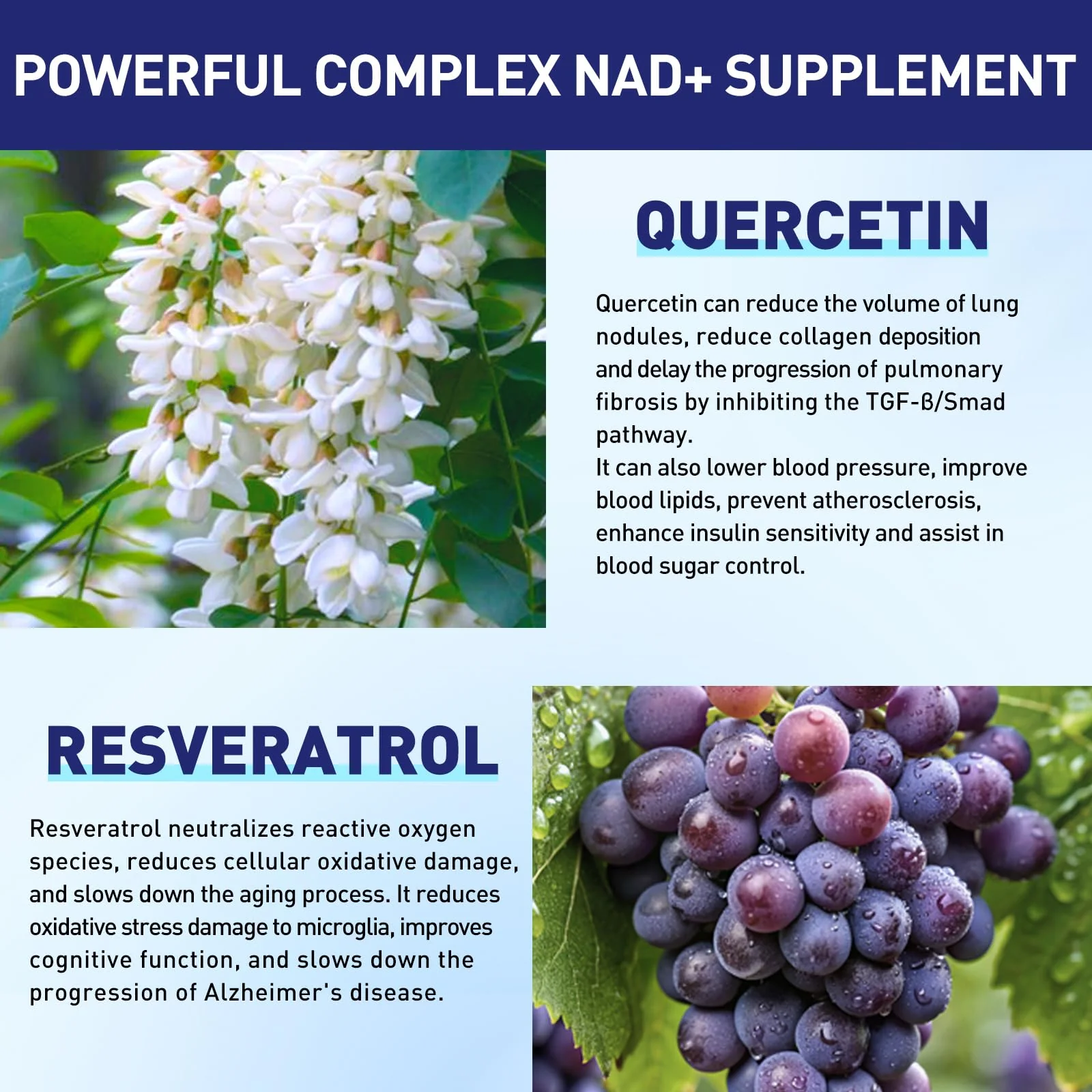 XKQ NAD+ Supplement 910mg – 60 Servings | Nicotinamide Riboside for Energy & Healthy Aging - Image 5