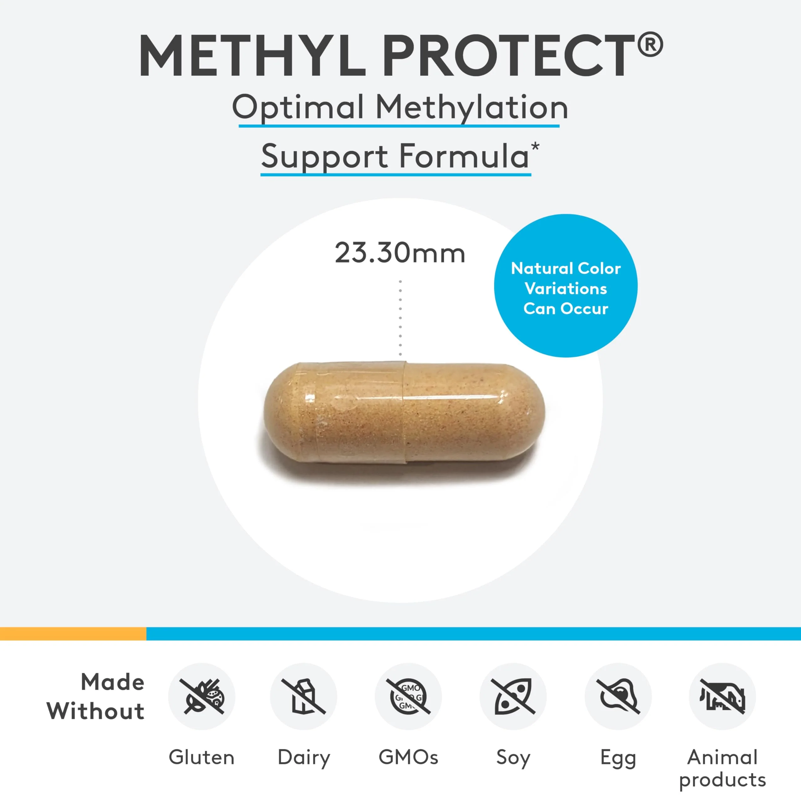 XYMOGEN Methyl Protect — Optimal Methylation Formula with Methyl Folate, Methylcobalamin B12, Riboflavin + B6 | 120 Capsules - Image 11