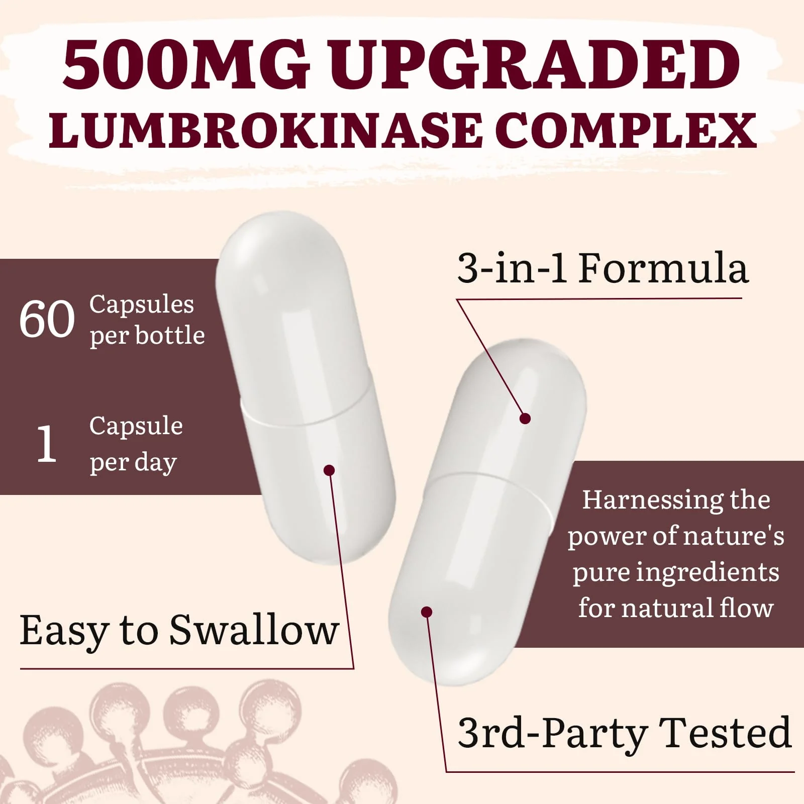 Yasumako Lumbrokinase 100mg + Nattokinase 100mg + Red Yeast Rice 300mg — 600 Capsules (Pack of 10) - Image 7