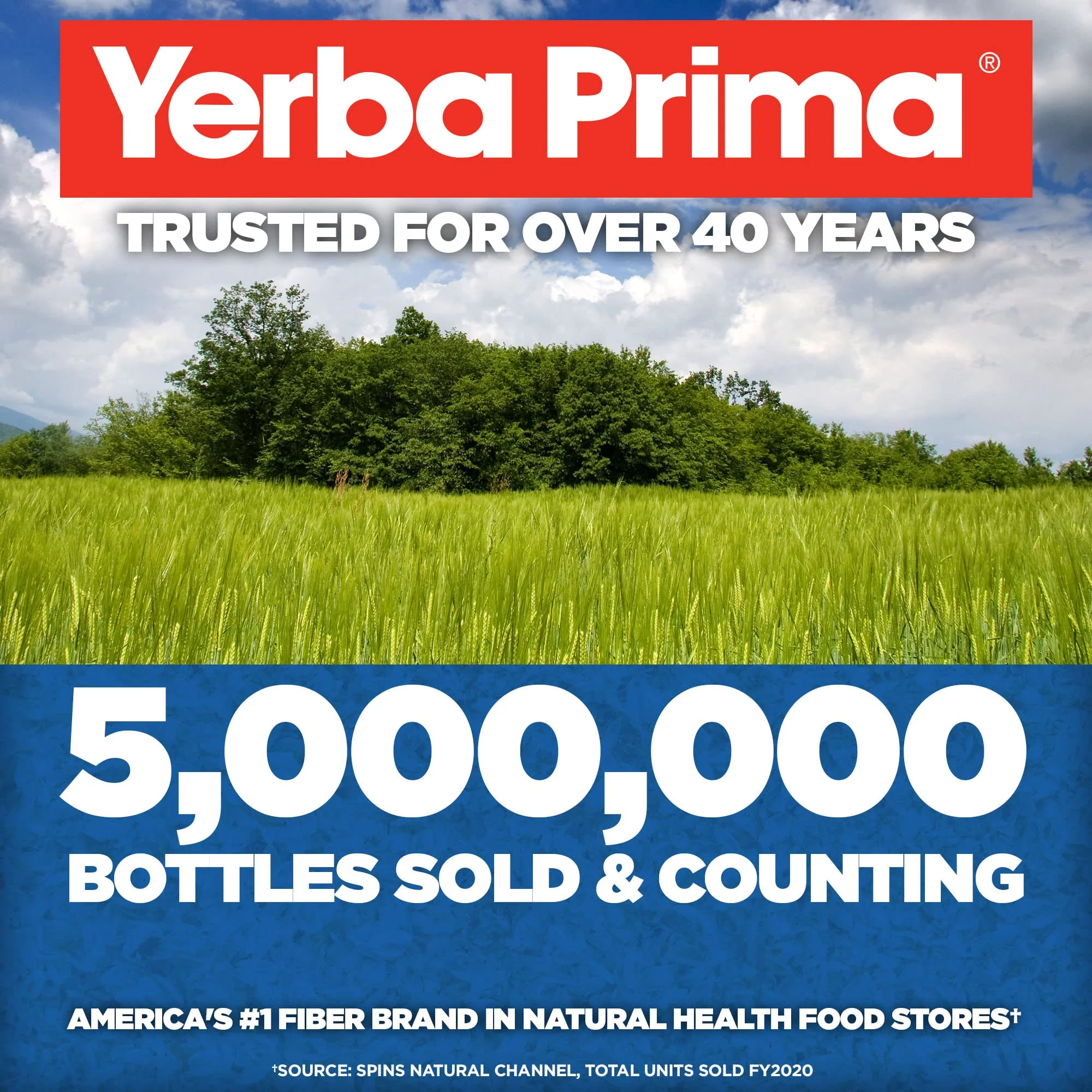 Yerba Prima Psyllium Whole Husks Colon Cleanser – 12 oz (Pack of 3) - Image 7