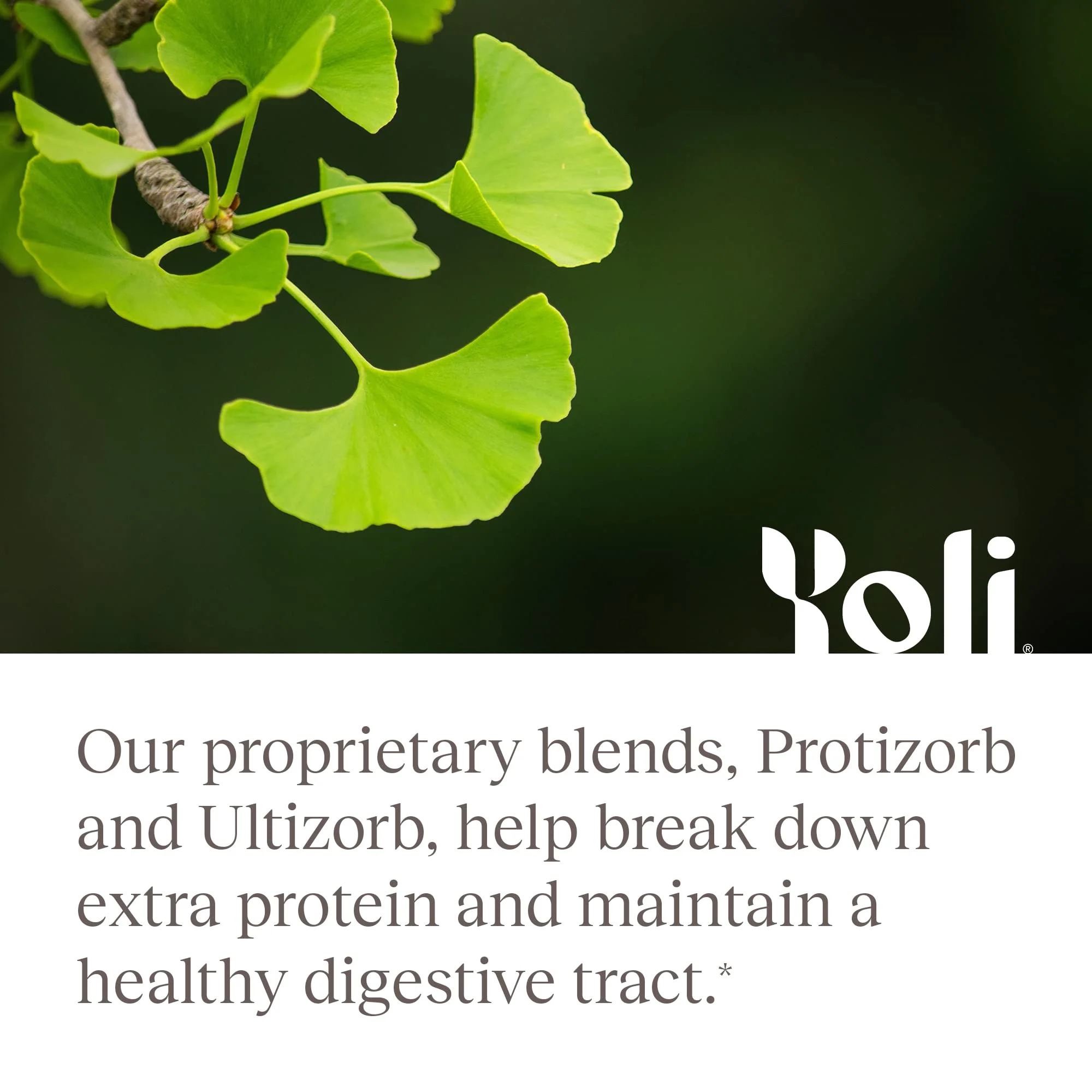 Yoli® Enzyme – Digestive Enzymes & Gut Health Supplement (60 Count) - Image 15