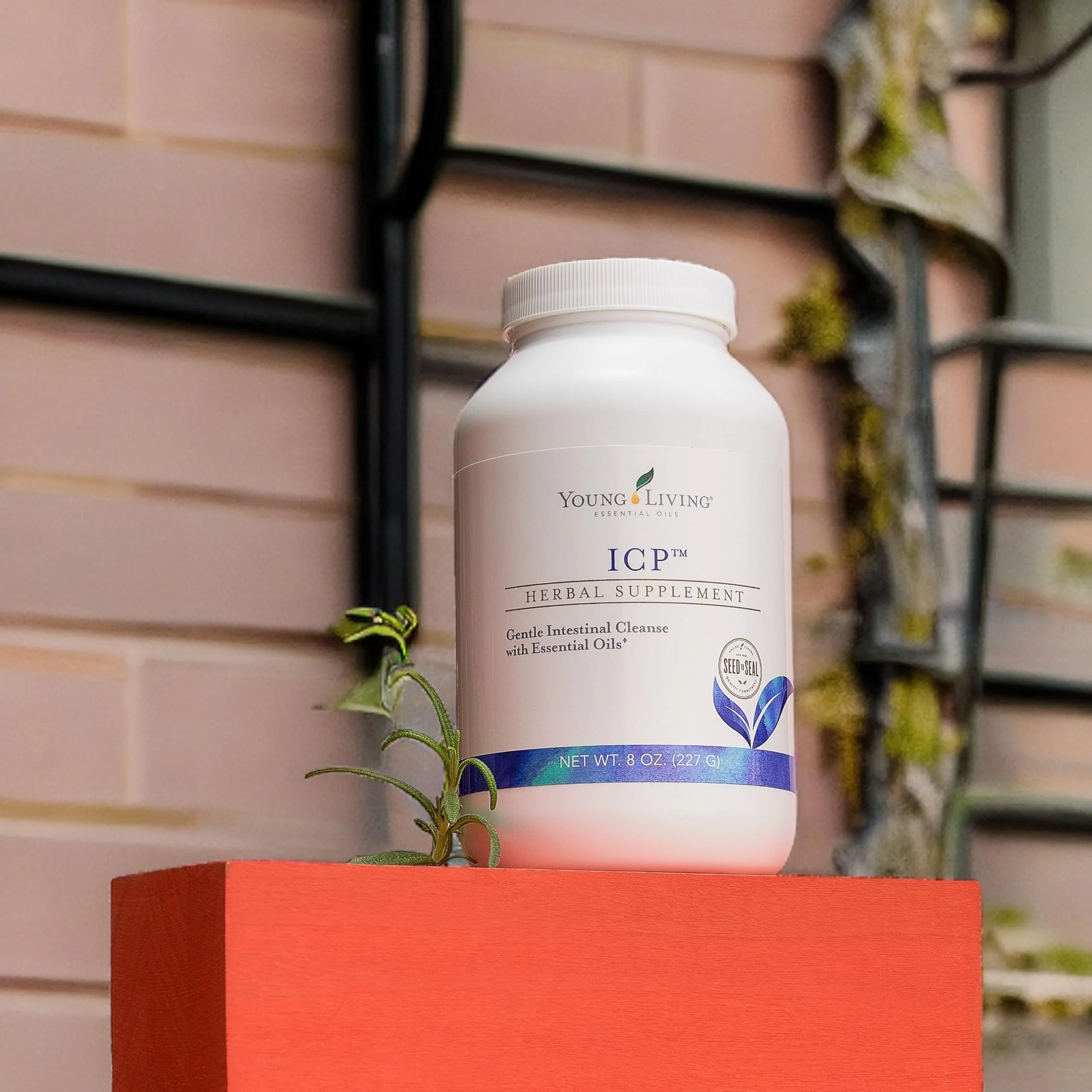 Young Living ICP 8oz Premium Psyllium Fiber Powder for Digestive Support - Image 2